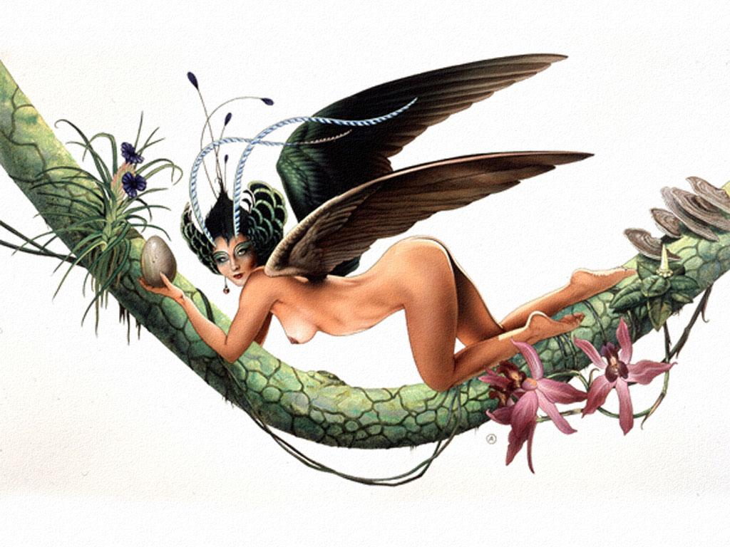 1024x768 Bird Of Paradise by C. Achilleos, Mixed Media, Fantasy Art