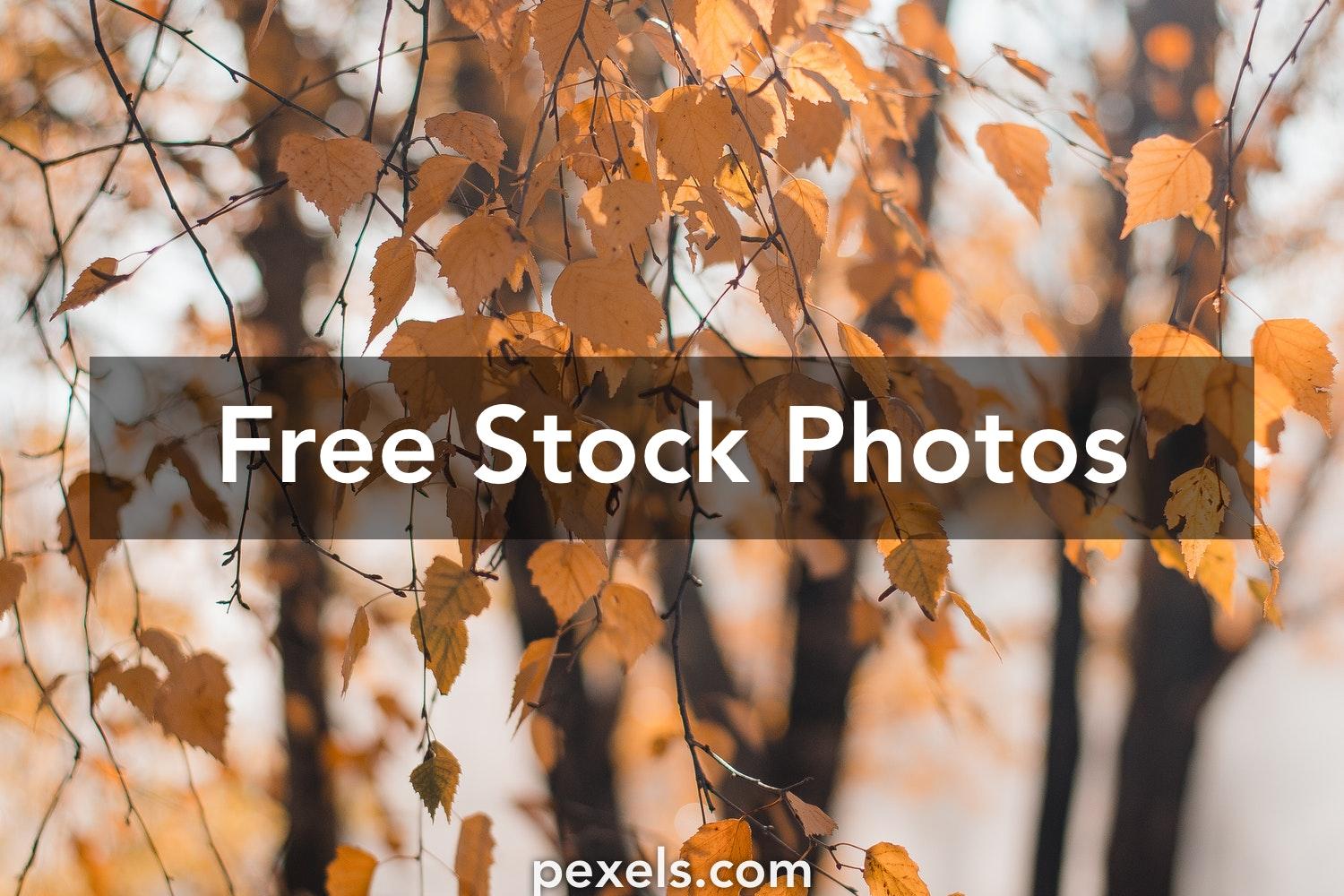 DSLR Blur Wallpapers - Top Free DSLR Blur Backgrounds - WallpaperAccess