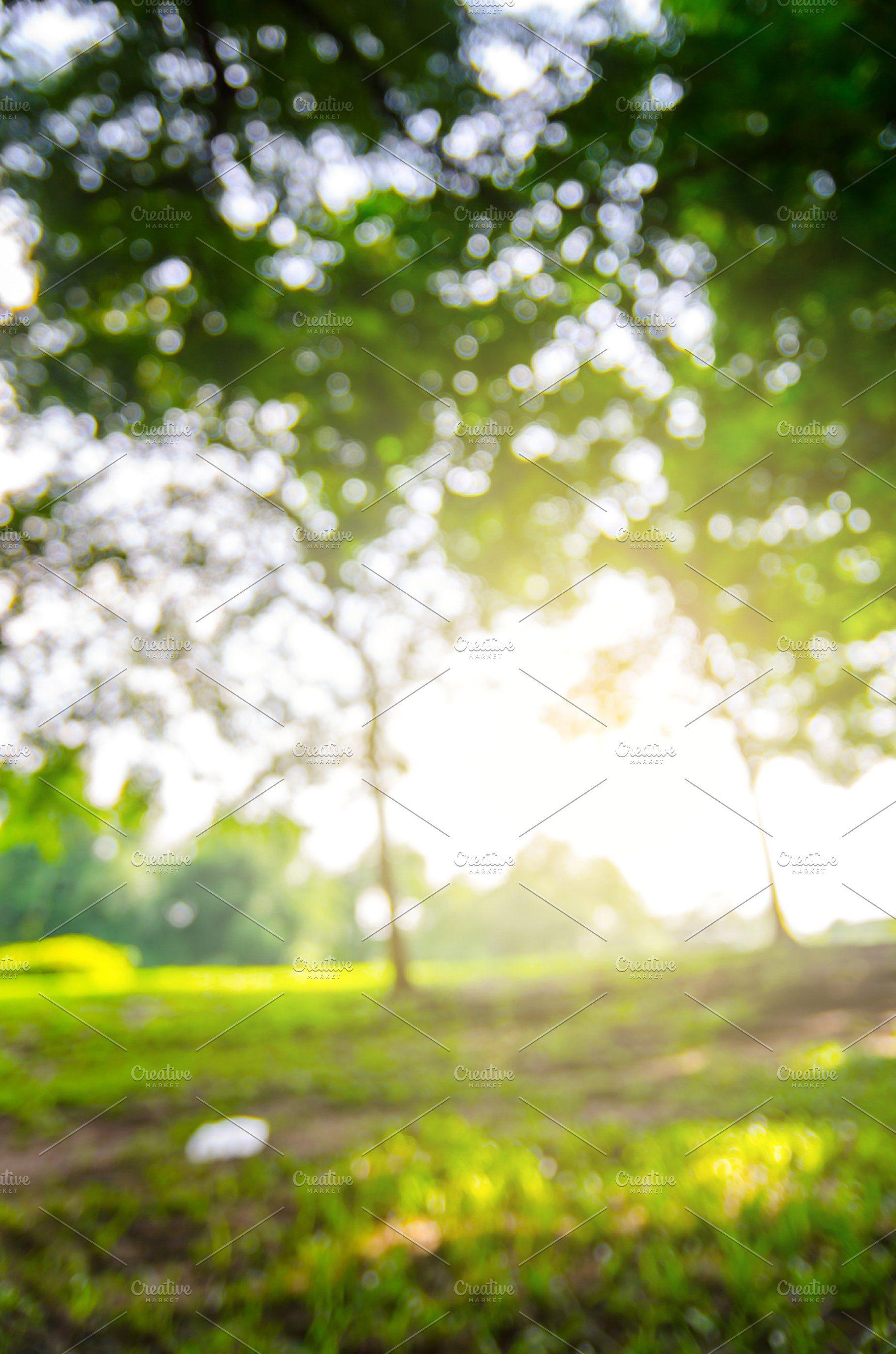 1820x2748 Dslr HD Nature Background