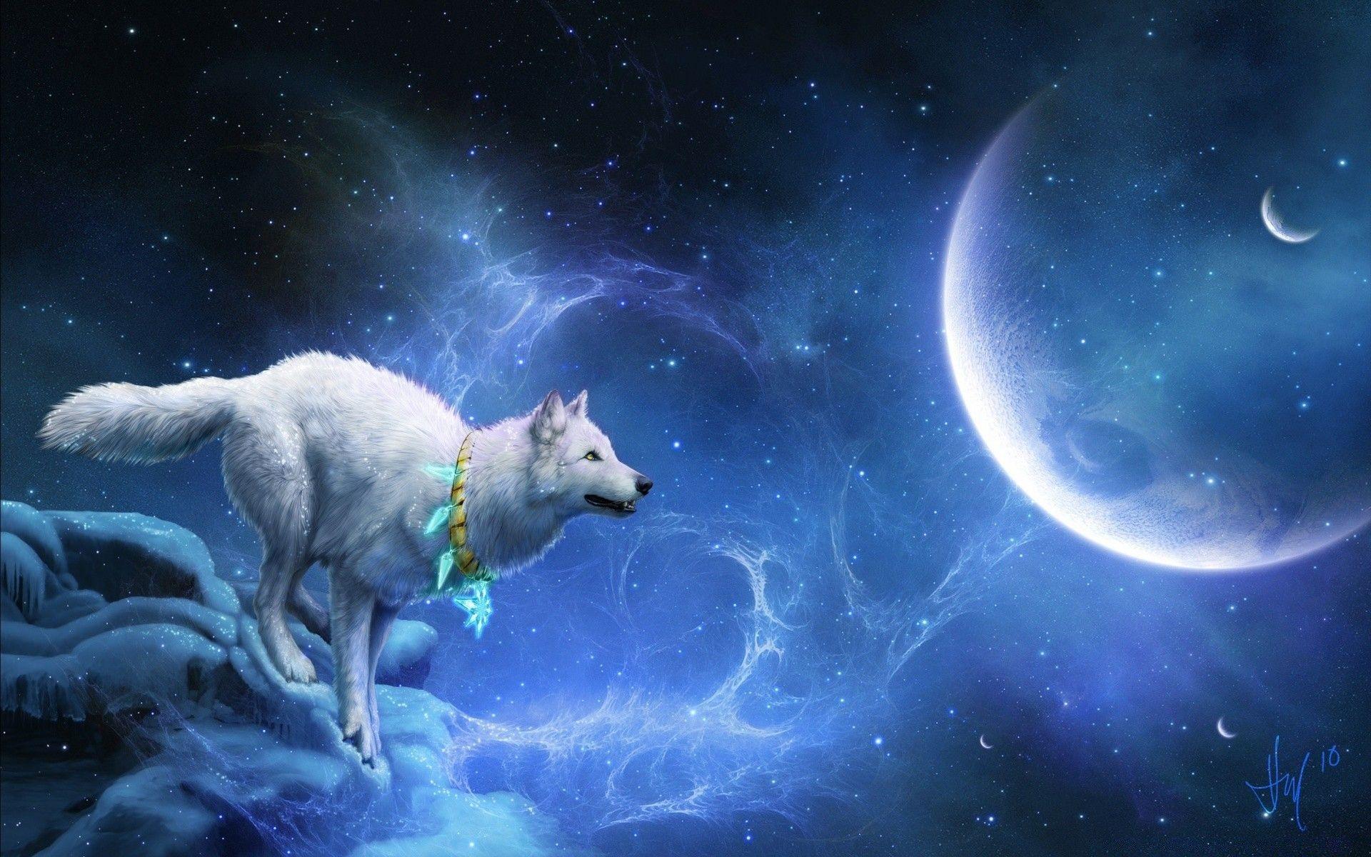 1920x1200 Magic White Wolf. Desktop wallpaper for free