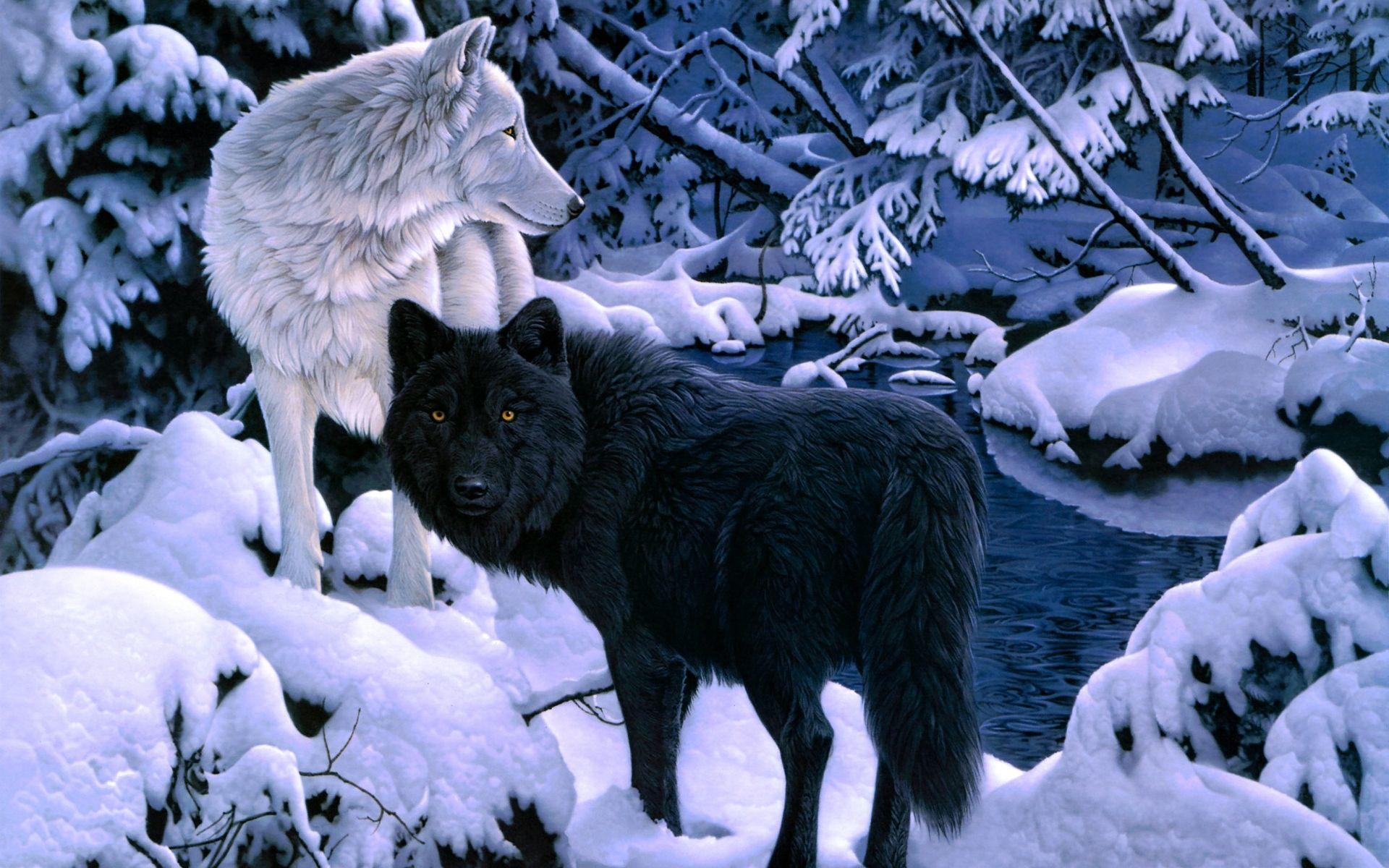 1920x1200 Black White Wolf Background