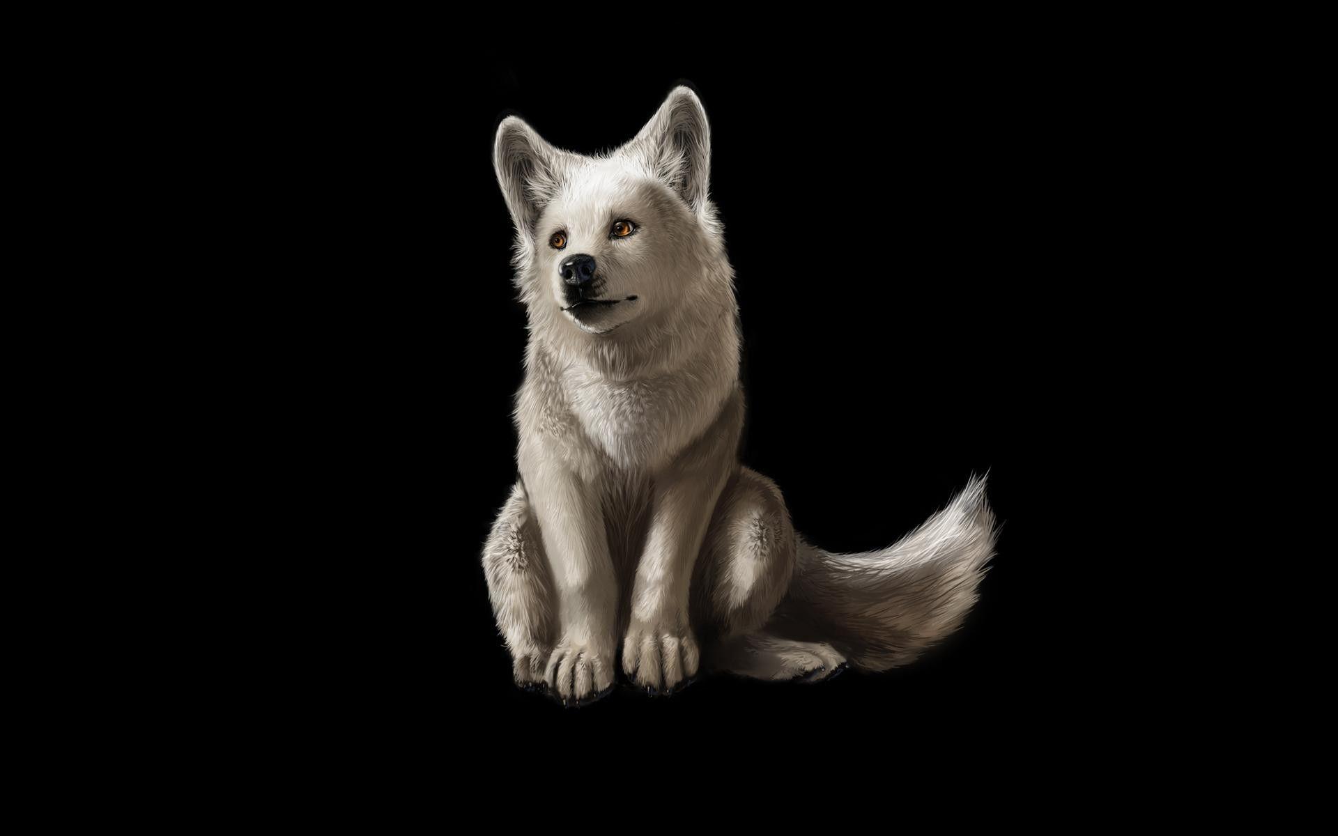 1920x1200 Animated Wolf Wallpaper