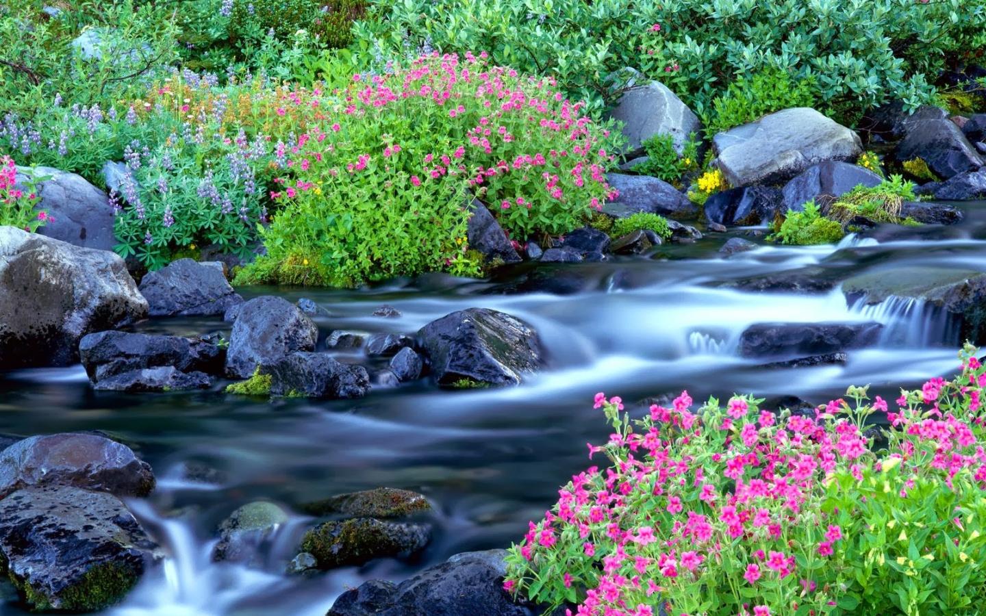 1440x900 Free download Posted by gogo alexandria Sunday November 10 2013 [1600x1200] for your Desktop, Mobile & Tablet. Explore Beautiful Scenery Desktop Wallpaper. Beautiful Scenery Background, Beautiful Scenery Wallpaper, Beautiful Scenery Wallpaper