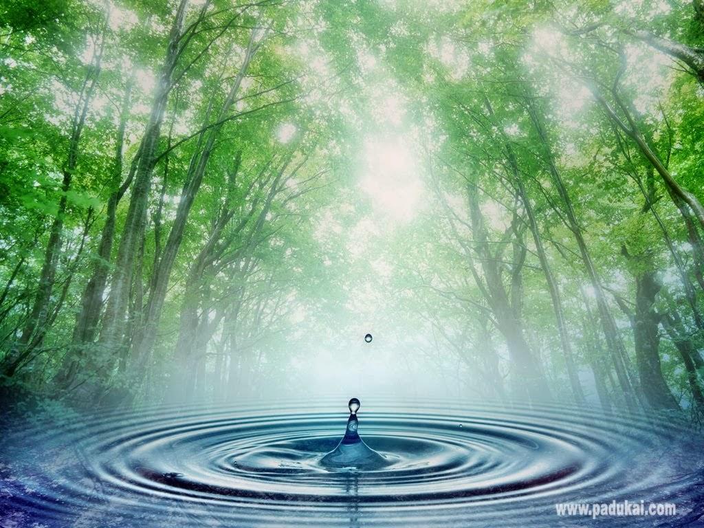 1024x768 beautiful nature scenery wallpaper. Nice Pics Gallery