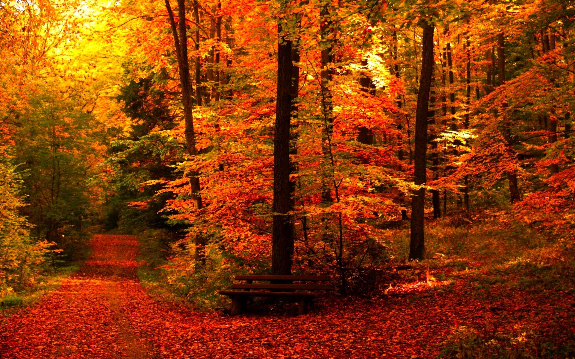 November Scenery Wallpapers - Top Free November Scenery Backgrounds ...