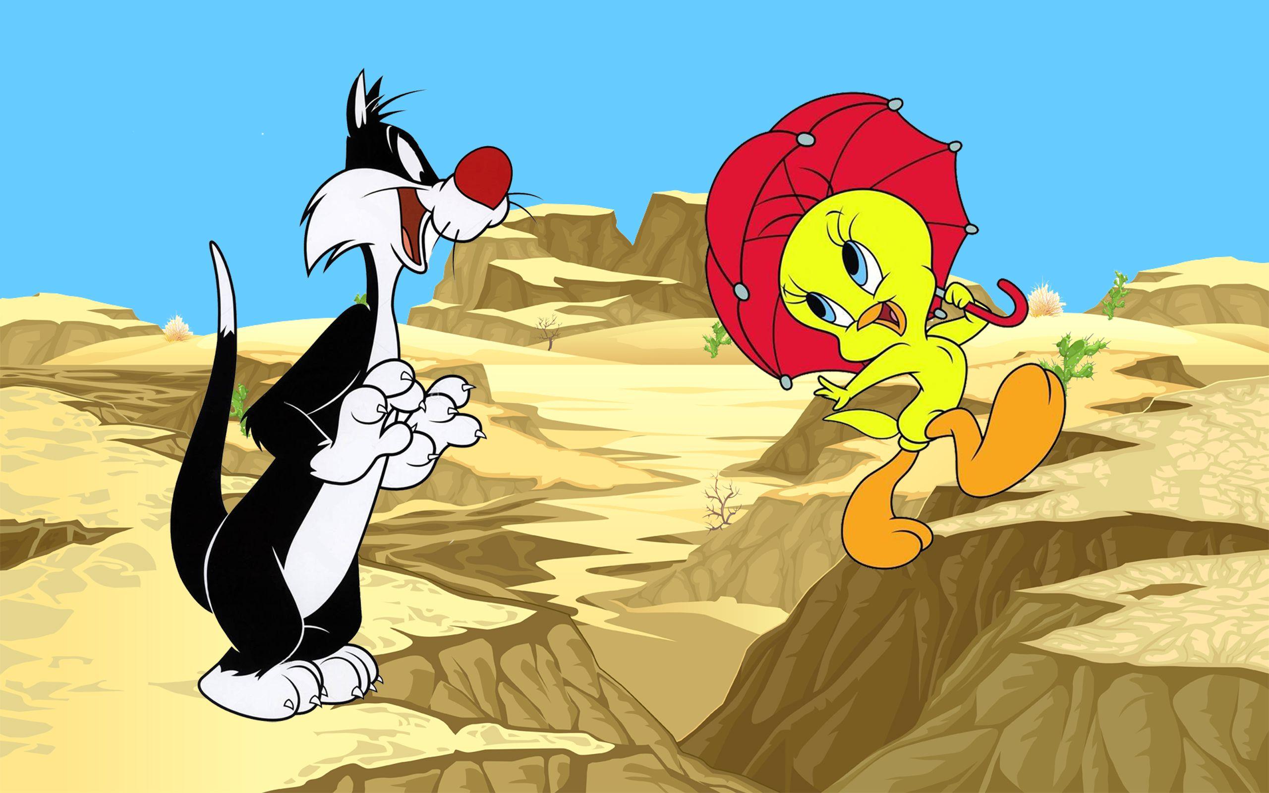 2560x1600 Tweety Bird và Sylvester Mèo Phim hoạt hình Sa mạc Phong cảnh Hình ảnh Máy tính để bàn