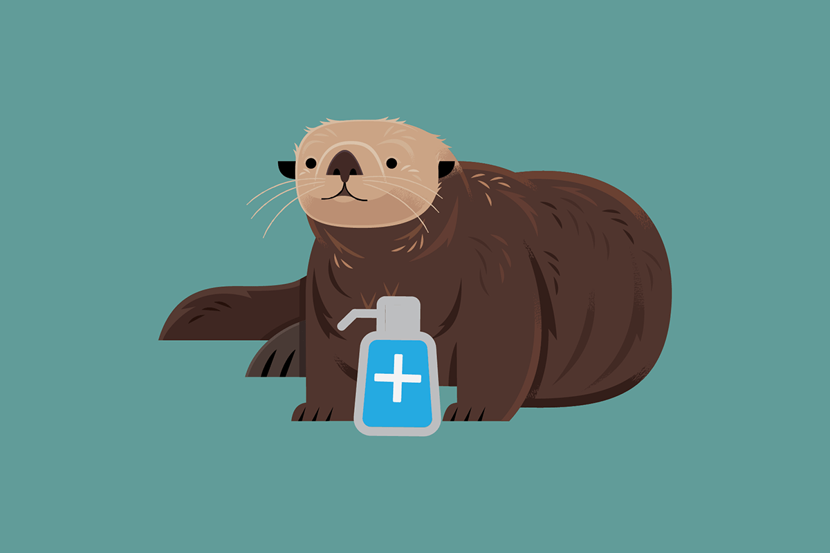 1200x800 Socially distant sea otter quiz. Monterey Bay Aquarium