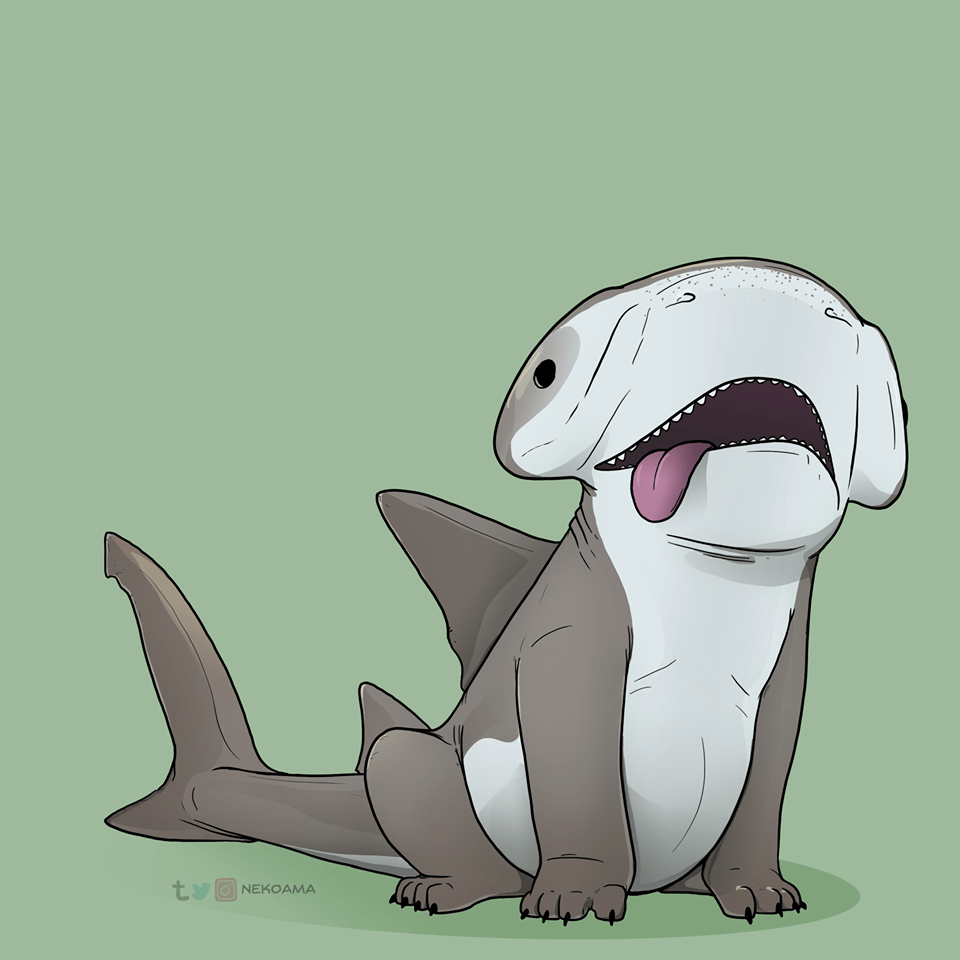 960x960 cute background wallpaper, cartoon, marine mammal, illustration, otter, shark, tail, dolphin, art, cartilaginous fish