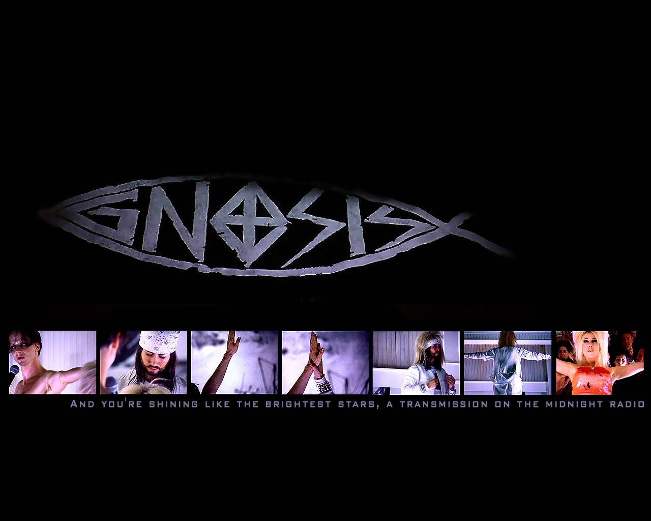 1280x1024 Hedwig and the Angry Inch [wallpaper]: hedwignangrynch