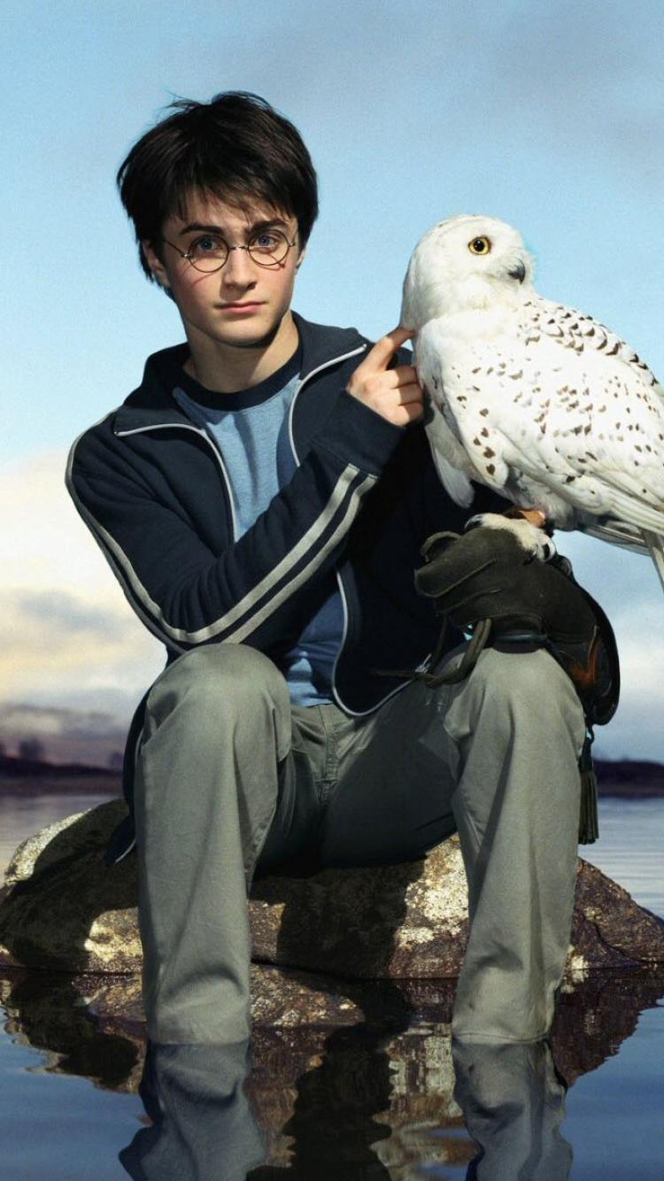 Featured image of post Aesthetic Harry Potter Wallpaper Owl With tenor maker of gif keyboard add popular harry potter owl animated gifs to your conversations