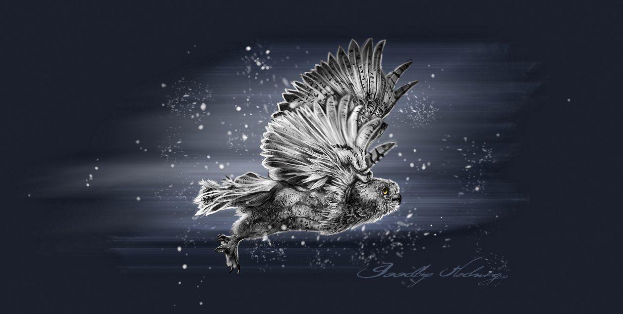 1257x635 Hedwig Wallpaper