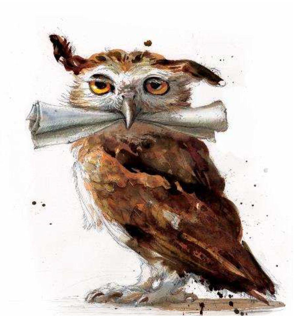 1012x1092 harry potter owl wallpaper
