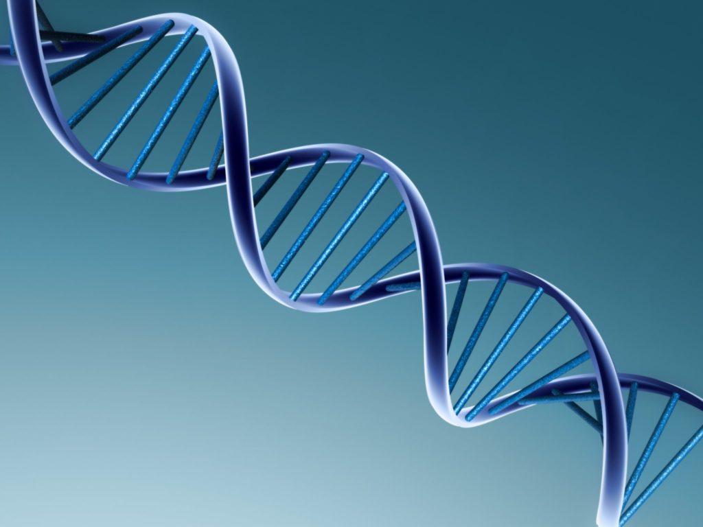1024x768 The Double Helix of Political Life