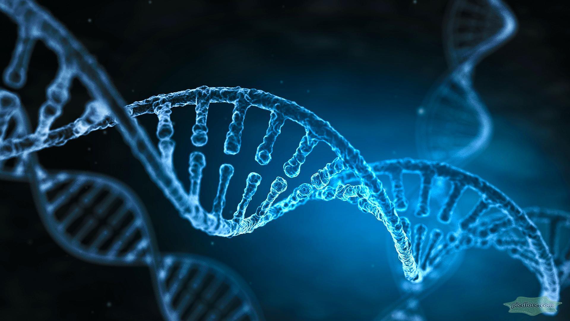 1920x1080 Dna Strand Wallpaper