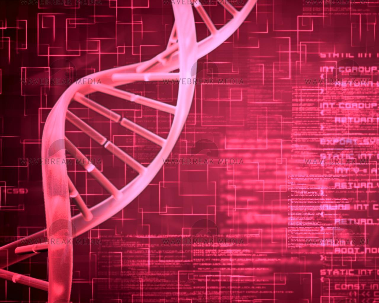 1280x1024 Pink DNA Helix background squares, download or print for £12.40