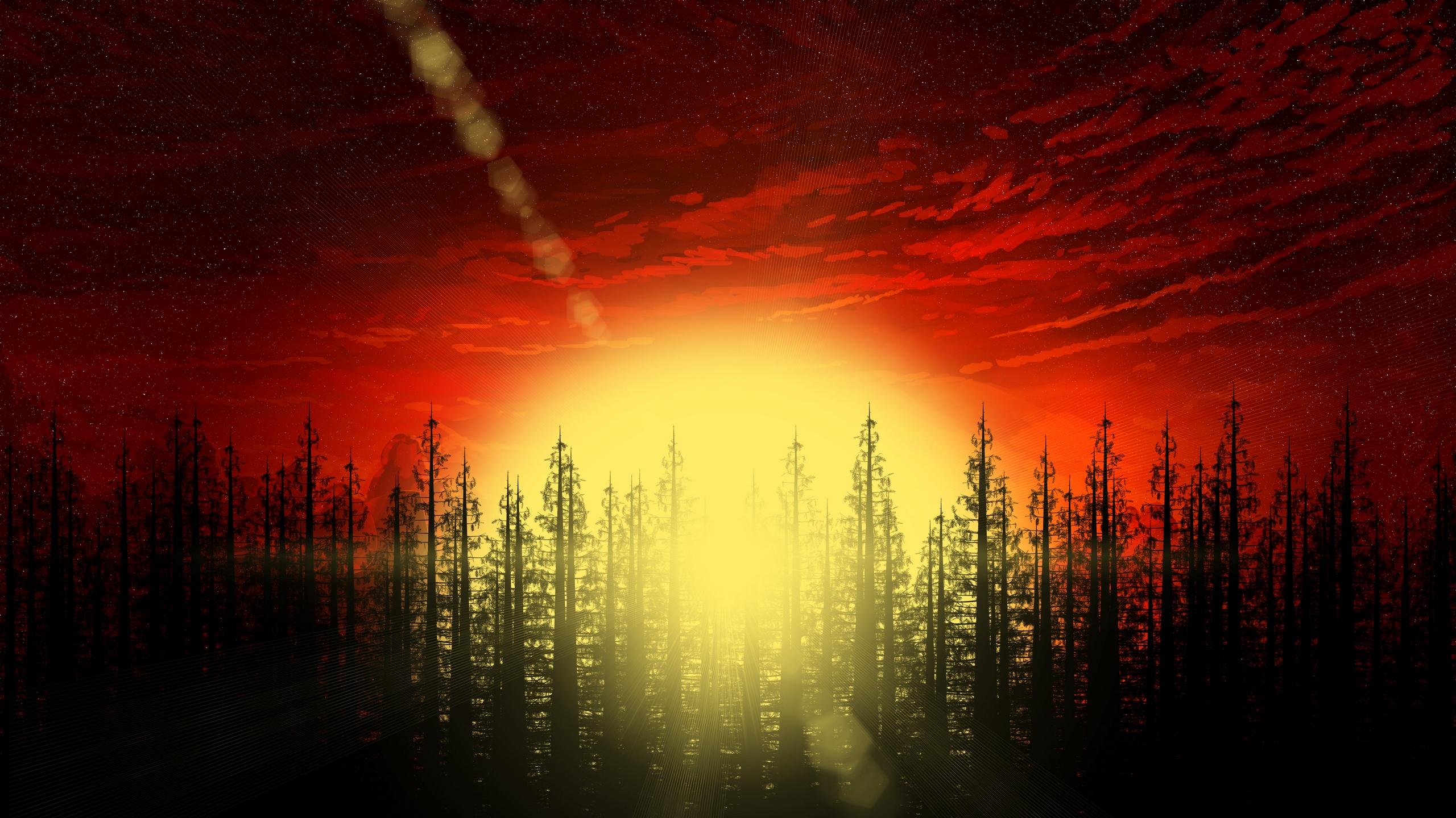2560x1440 Forest Trees Abstract, HD Artist, 4k Wallpaper, Image, Background, Photo and Picture