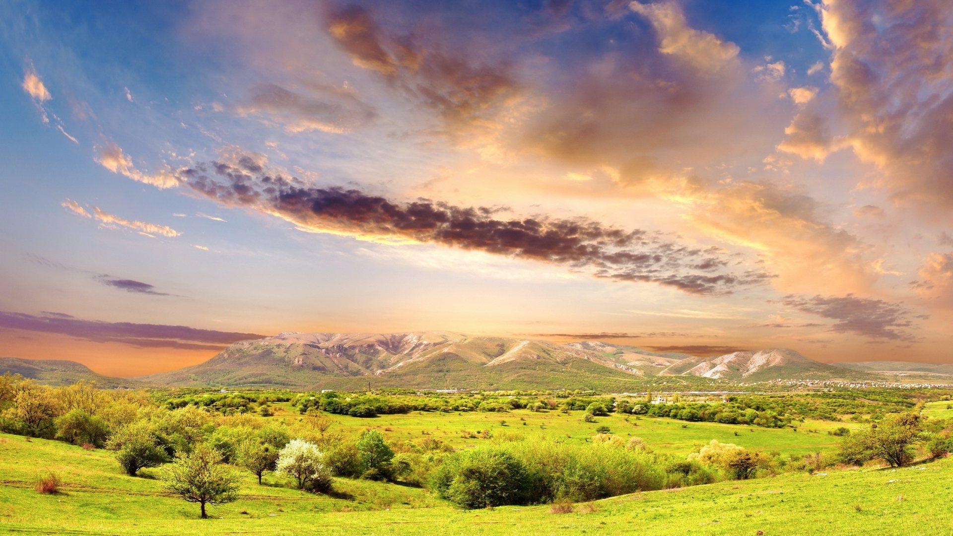 1920x1080 Sunny Meadow wallpaperx1080