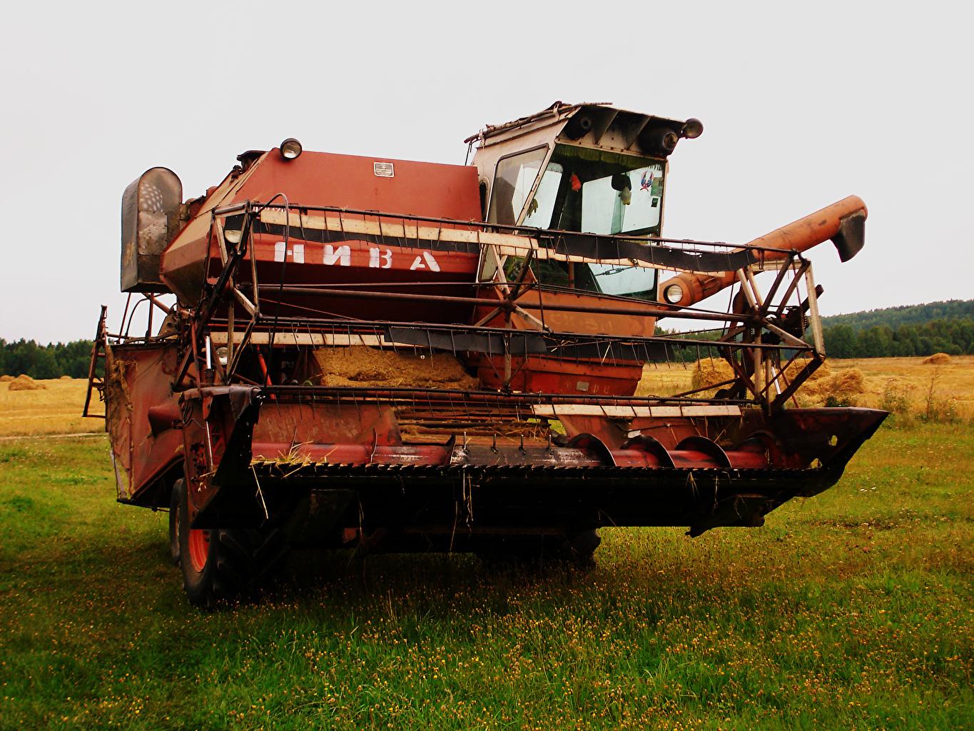 1365x1024 Desktop Wallpaper Combine harvester Niva Grass