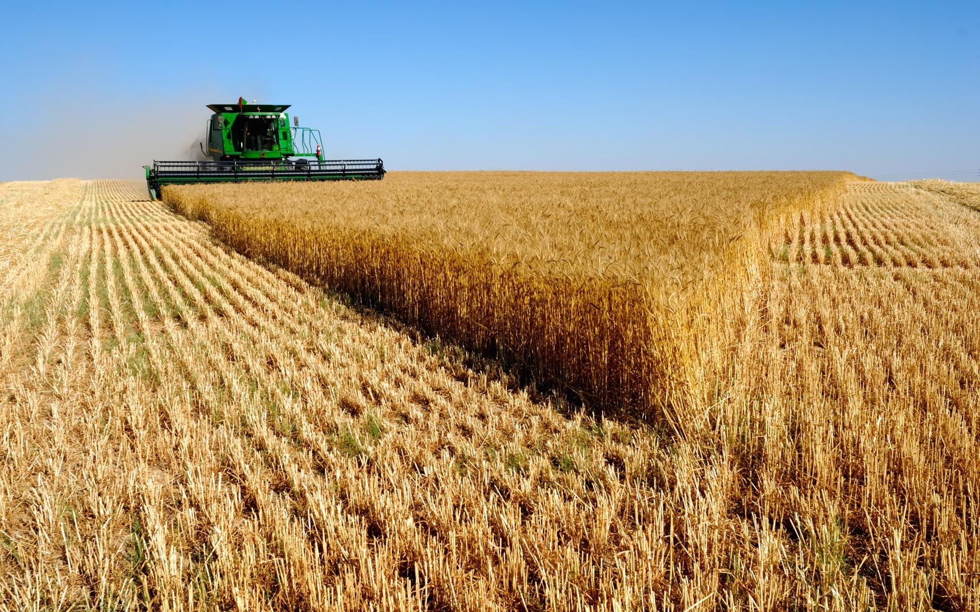 1920x1200 wheat vehicles combine harvester farming john deere 1920x1200 wallpaper High Quality Wallpaper, High Definition Wallpaper