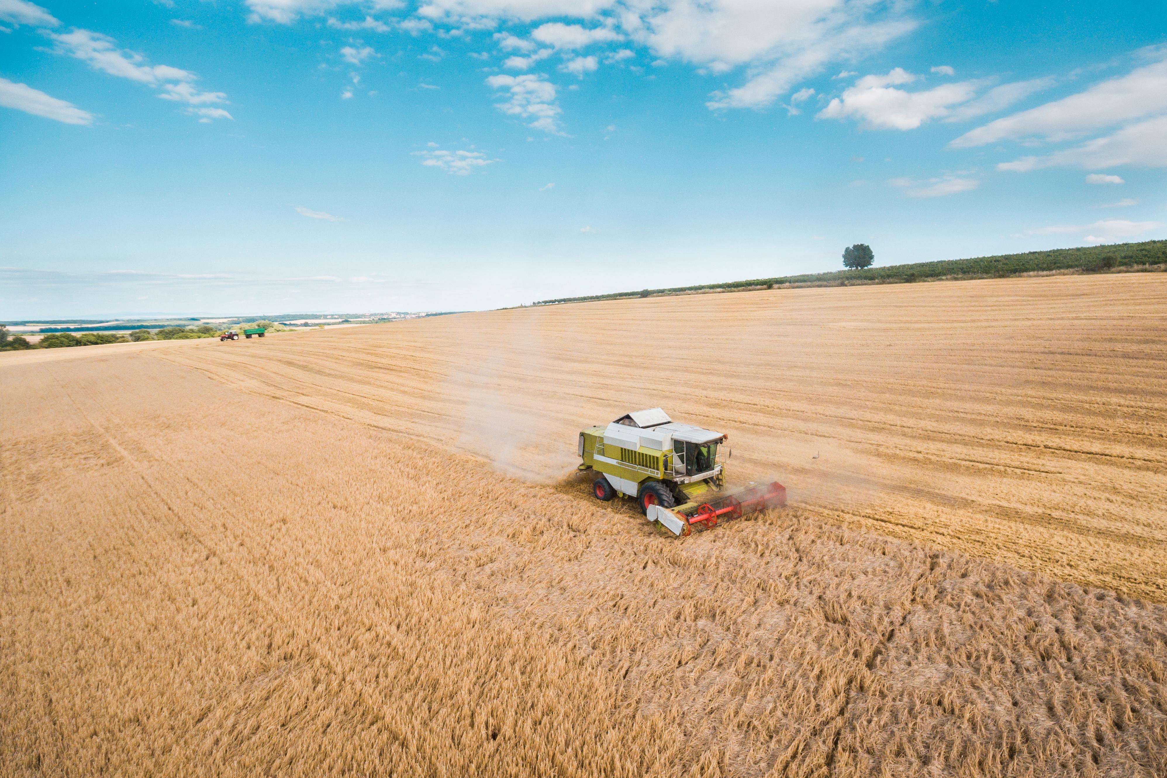 3992x2661 Combine Harvester Harvesting Wheat Crops Free