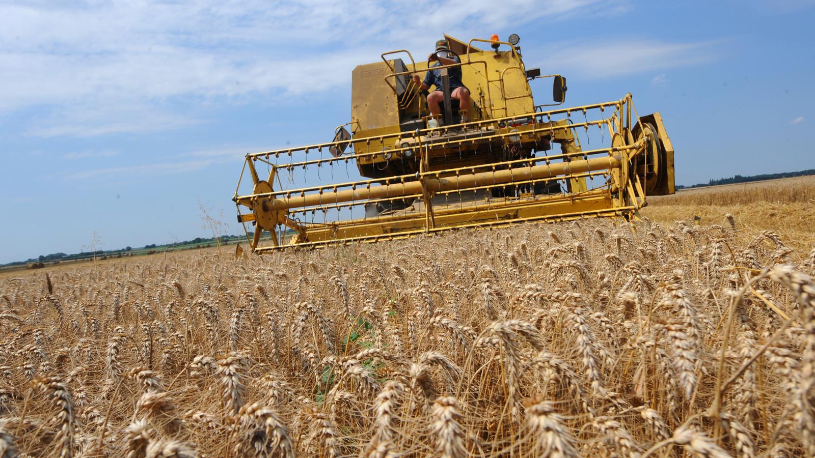 1600x900 Combine harvesters
