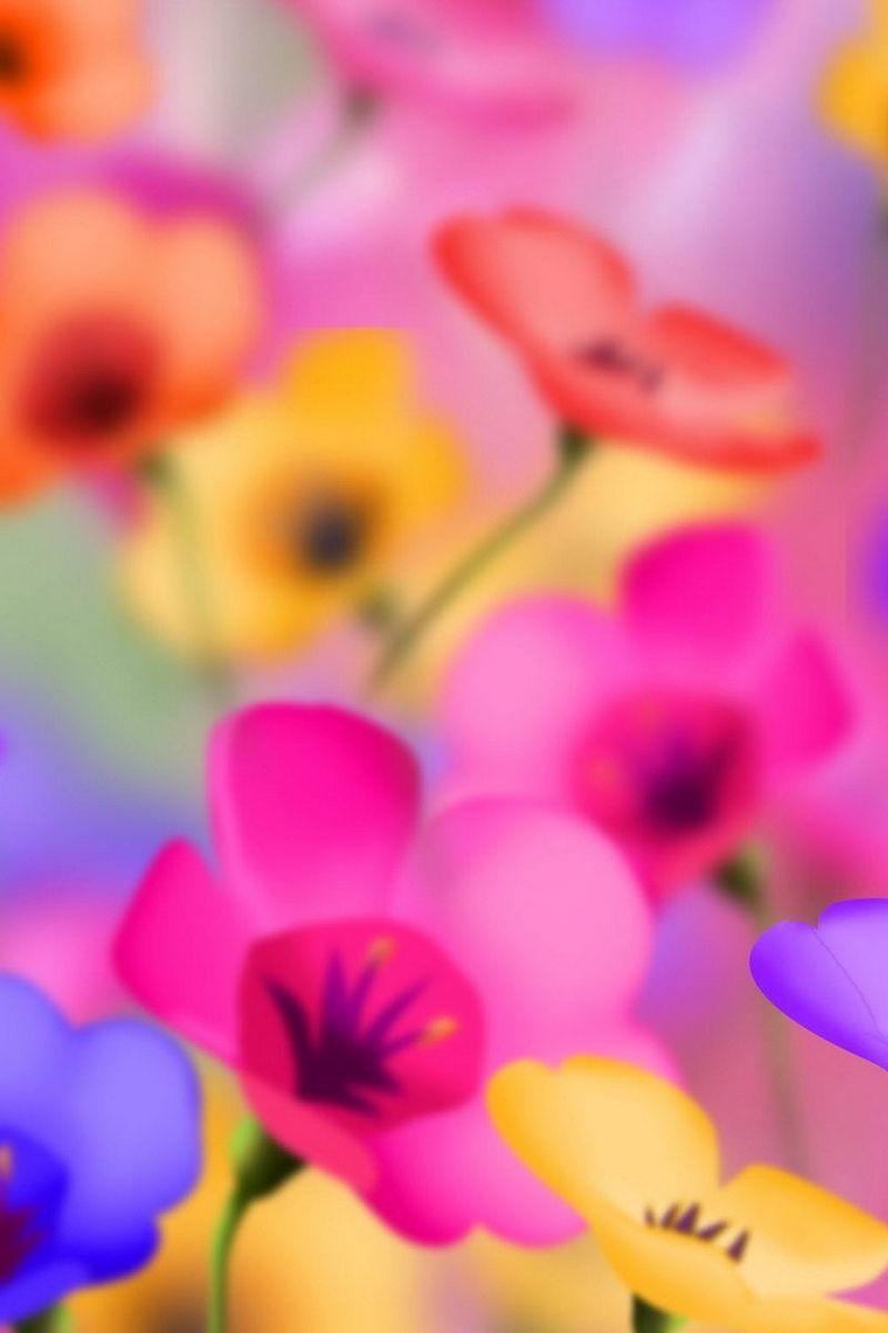 800x1200 Tải xuống hình nền 800x1200 hoa, đầy màu sắc, tươi sáng, tích cực https://wallpaperaccess.com/full/669564.jpg