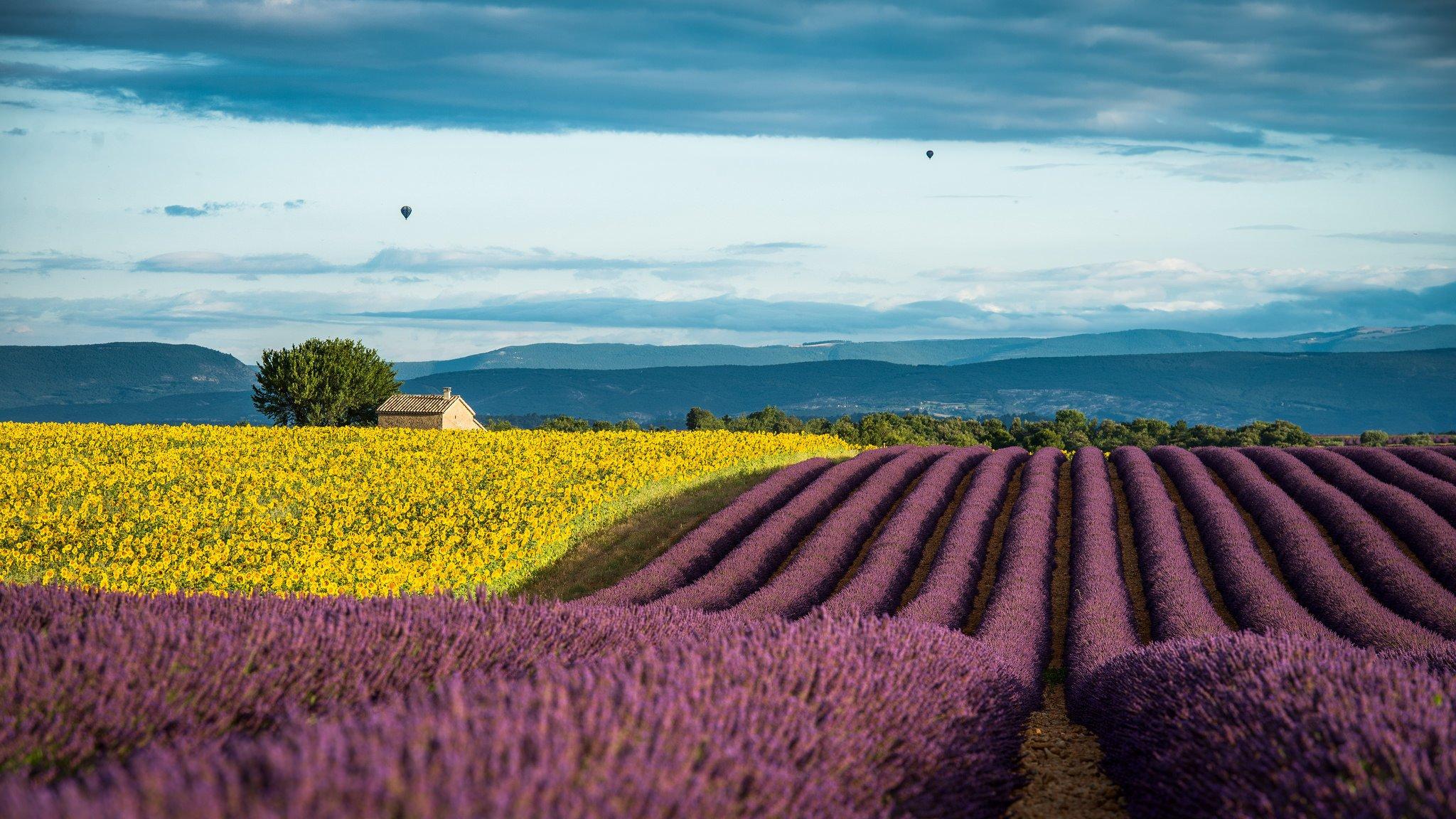 2048x1152 lavender, France, Provence, Field Wallpaper HD / Desktop and Mobile Background