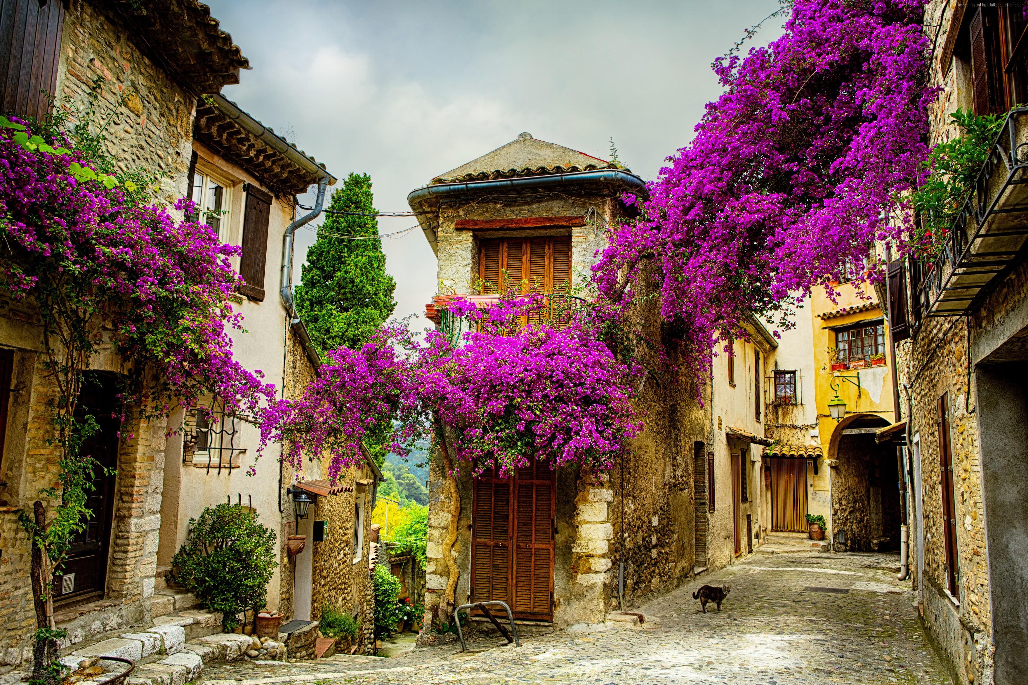 3520x2345 #France, #Tourism, #Provence, #Travel. Mocah HD Wallpaper