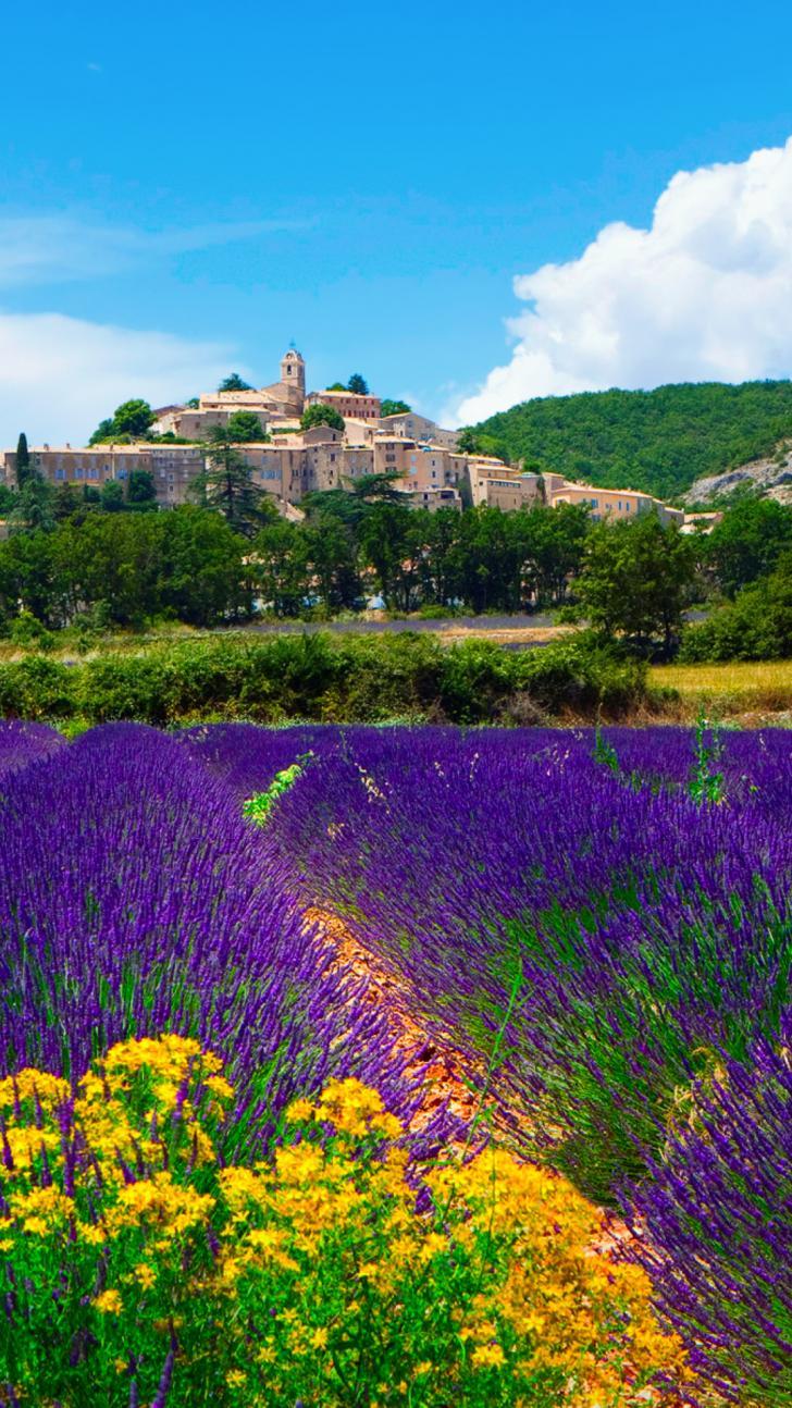 728x1294 Wallpaper HD: Lavender, Field, In, Provence, France, Wallpaper, For, iPhone, Plus