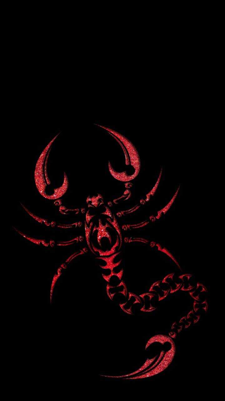 720x1280 Scorpio Wallpaper