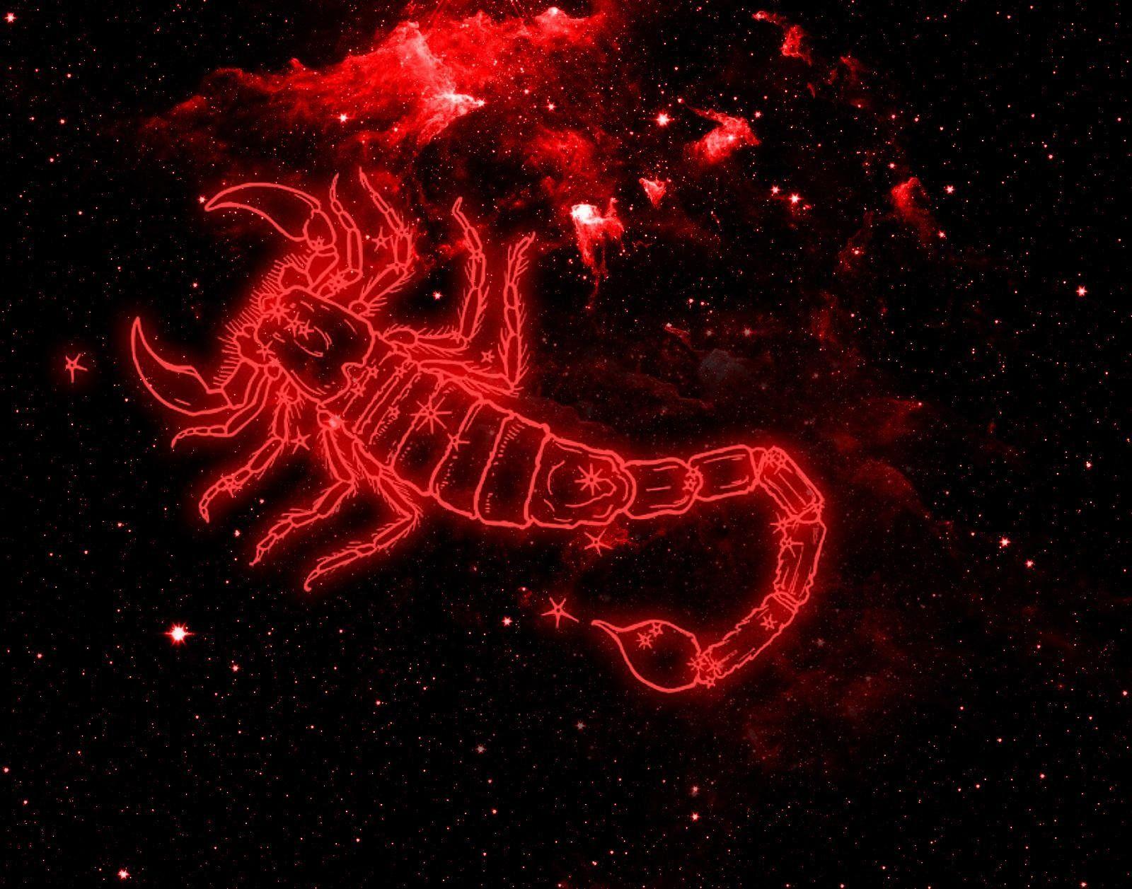 1600x1257 Scorpio Zodiac Wallpaper, HD Scorpio Zodiac Background on WallpaperBat