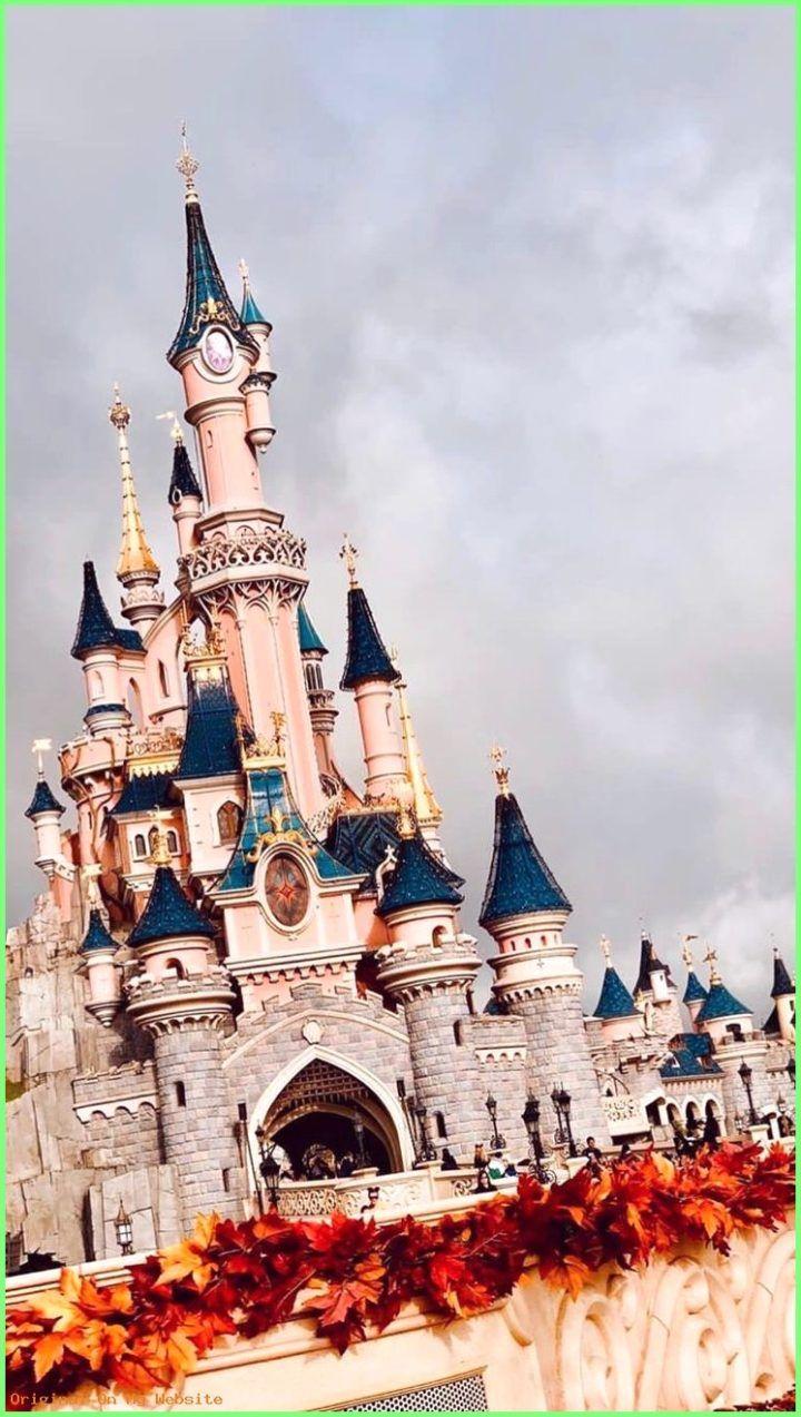 720x1273 Disney World iPhone Wallpaper