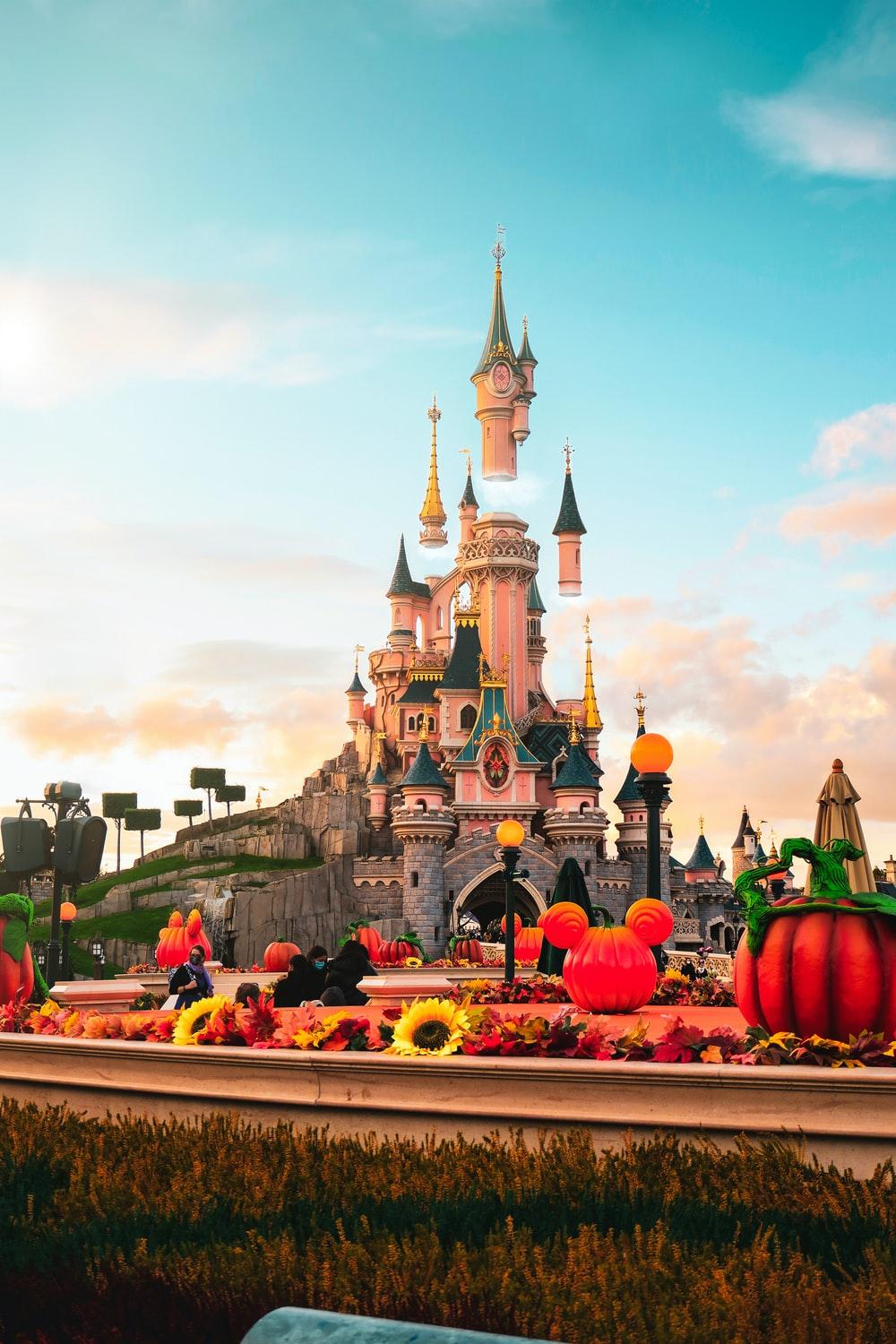 1000x1500 Disneyland Picture. Download Free Image