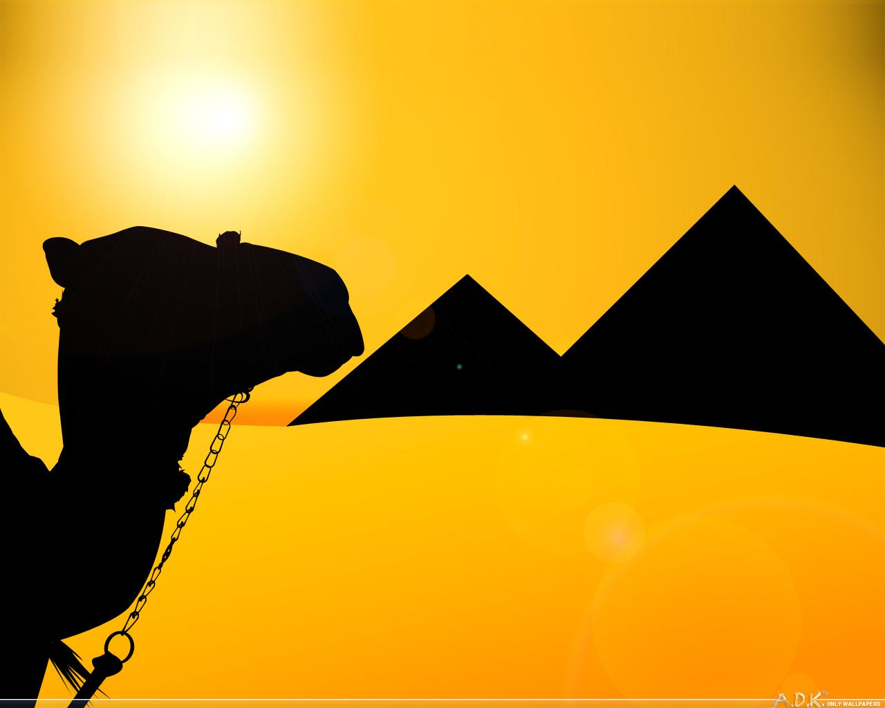 1280x1024 Free download camel wallpaper 24 798203jpg [1280x1024] for your Desktop, Mobile & Tablet. Explore Camel Wallpaper. Sopwith Camel Wallpaper