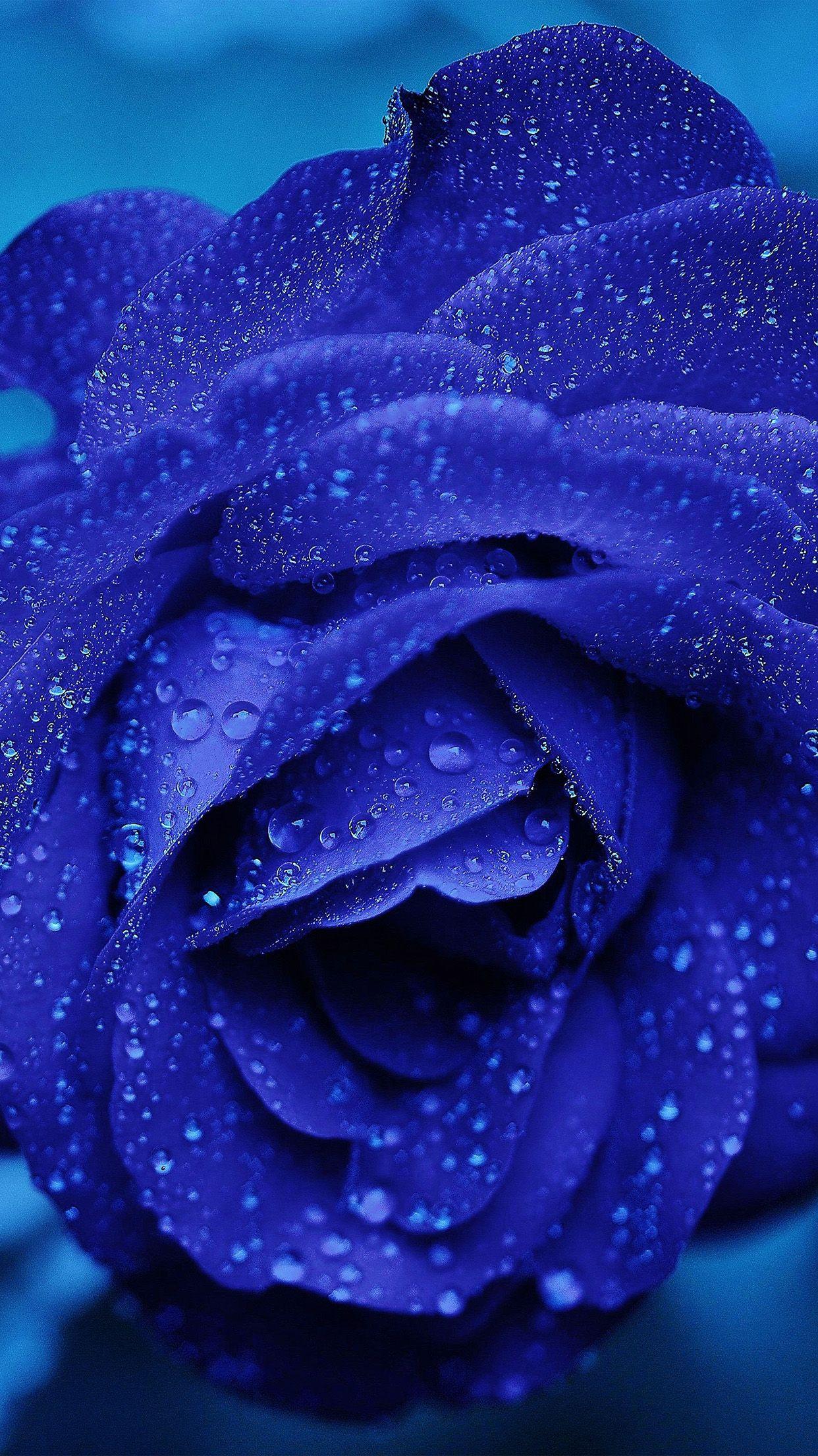 Blue Rain Wallpapers - Top Free Blue Rain Backgrounds - WallpaperAccess