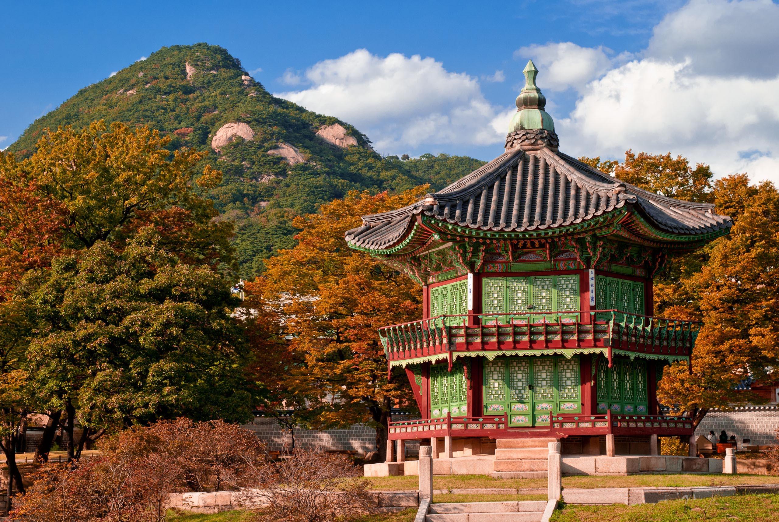 2560x1714 Free download Gyeongbok Palace in Autumn South Korea Breeze Asia [2560x1714] for your Desktop, Mobile & Tablet. Explore South Korea Wallpaper. South Park Background, South Beach Wallpaper, Korea Wallpaper