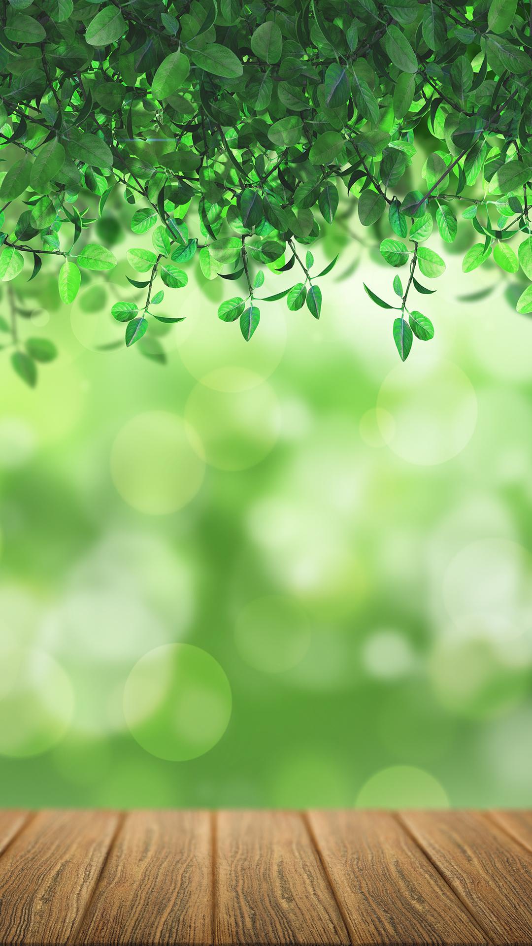 1080x1920 Free HD Nature Bokeh Phone Wallpaper.5547