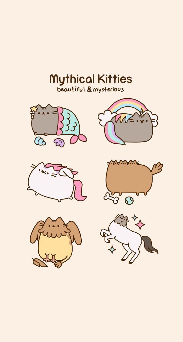744x1392 Harry Potter Cat Wallpaper