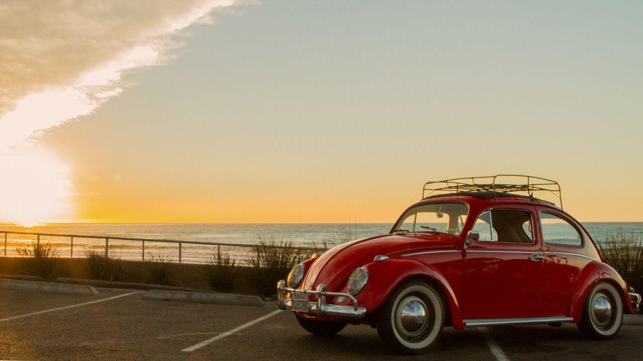 1300x731 Beetle Wallpaper