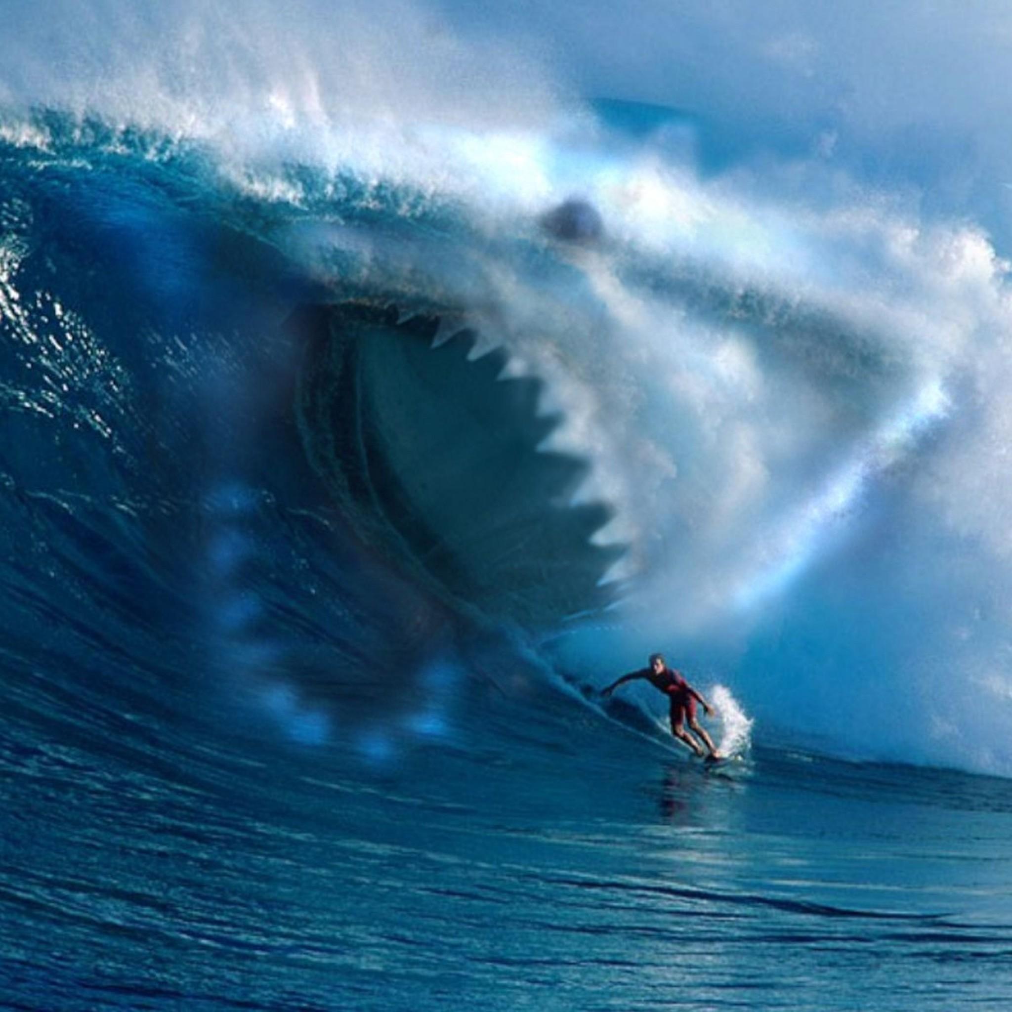 2048x2048 Free download Shark Wave Water Surfing Ocean iPad Air Wallpaper Download iPhone [2048x2048] for your Desktop, Mobile & Tablet. Explore Apple Ocean Wave Wallpaper. Wave Wallpaper, The Great Wave