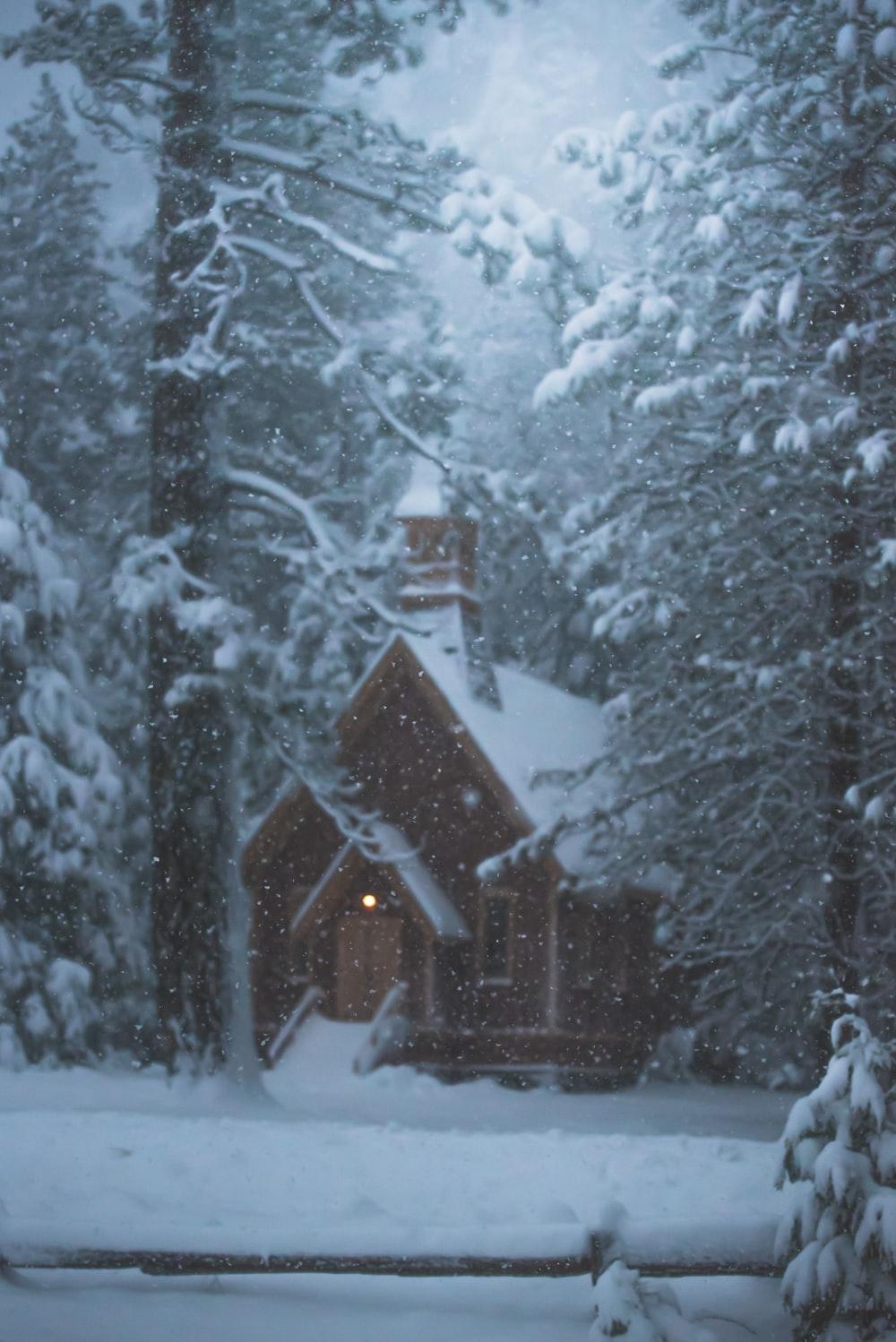 1000x1498 Winter Wallpaper: Free HD Download [HQ]