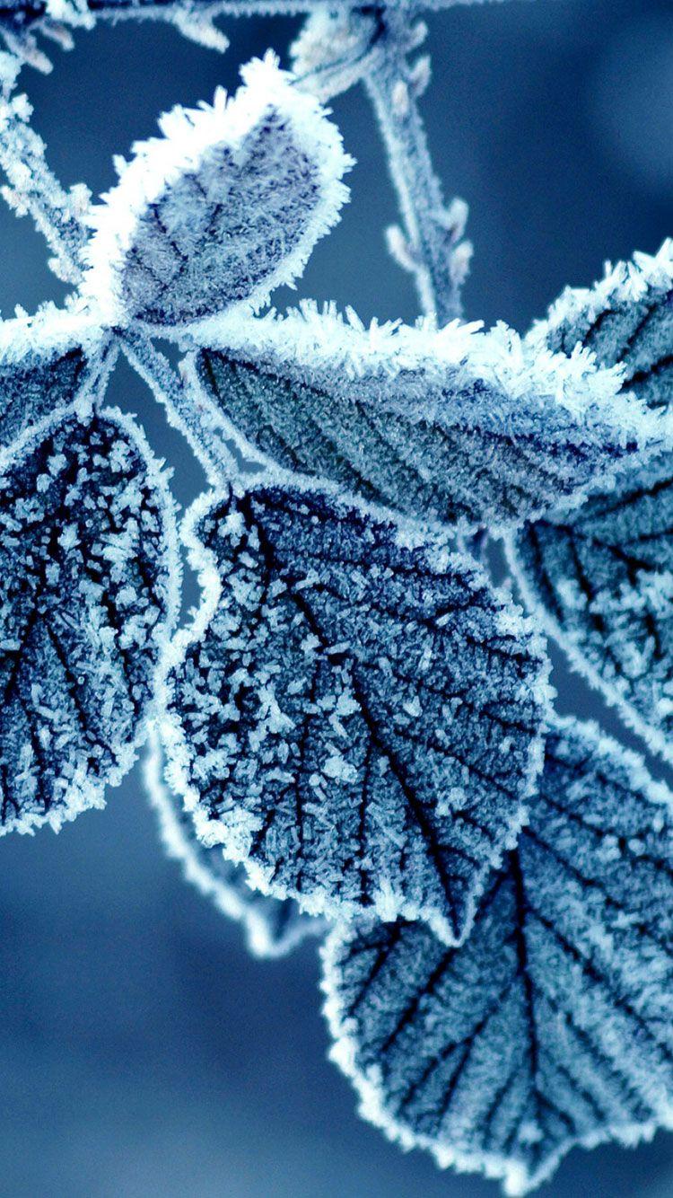 750x1334 New Year iPhone 6 Wallpaper