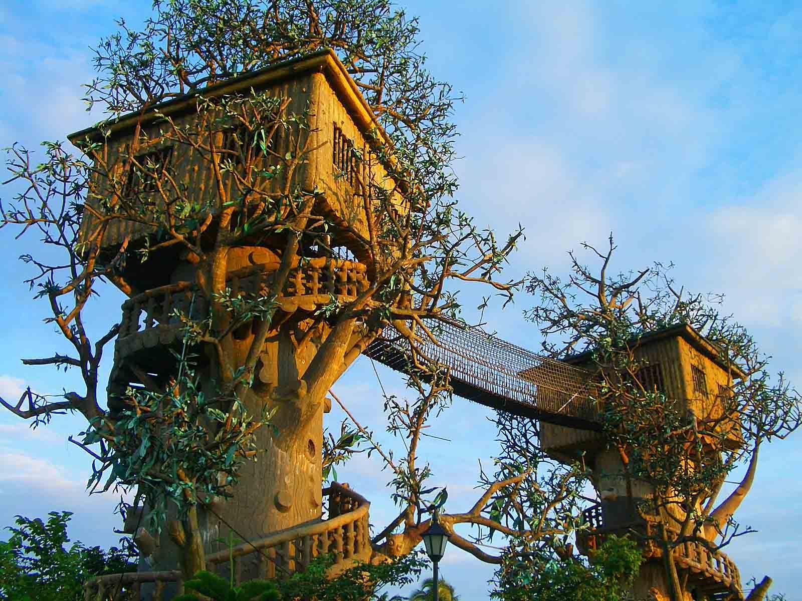 1600x1200 Beautiful And Amazing Tree House Wallpaper, Pics - Beautiful tree houses, Cool tree houses, Tree house designs