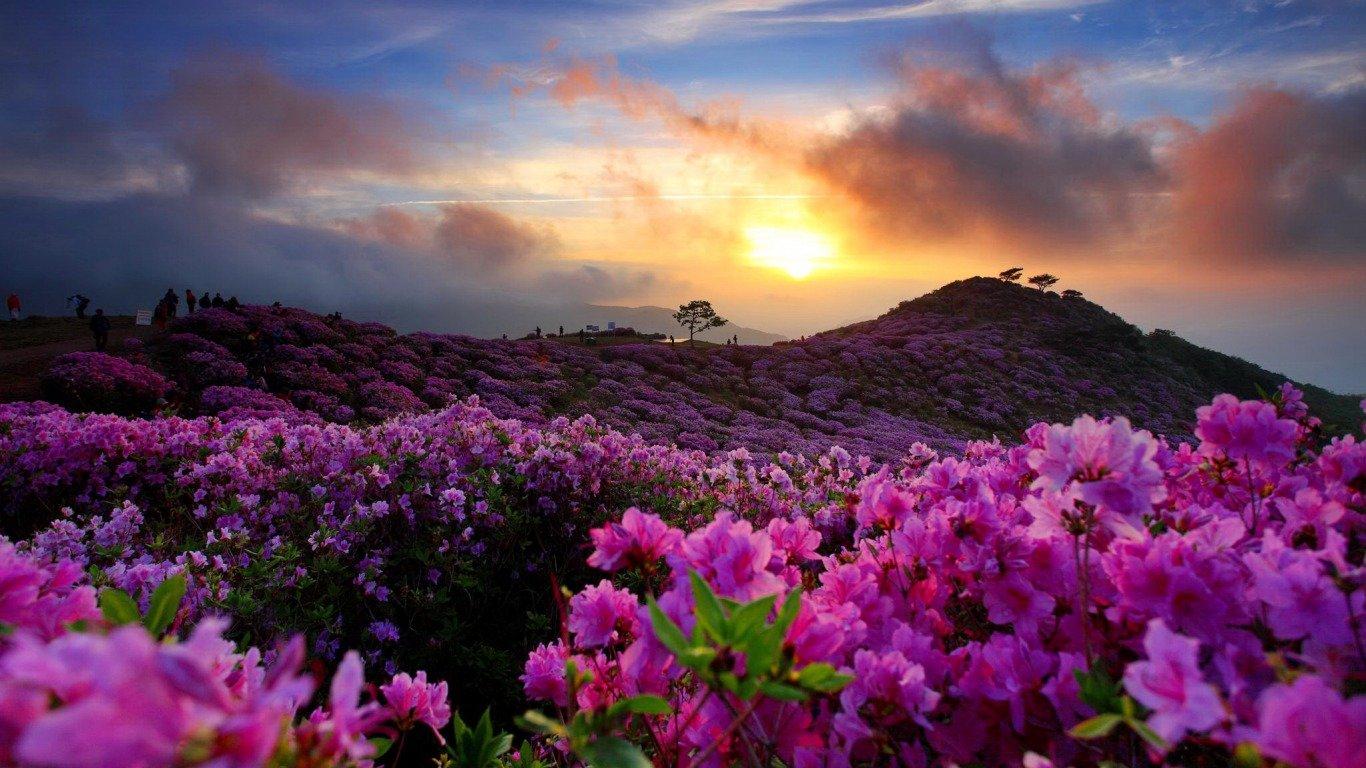 1366x768 Sunrise wallpaper 1366x768 (laptop) desktop background