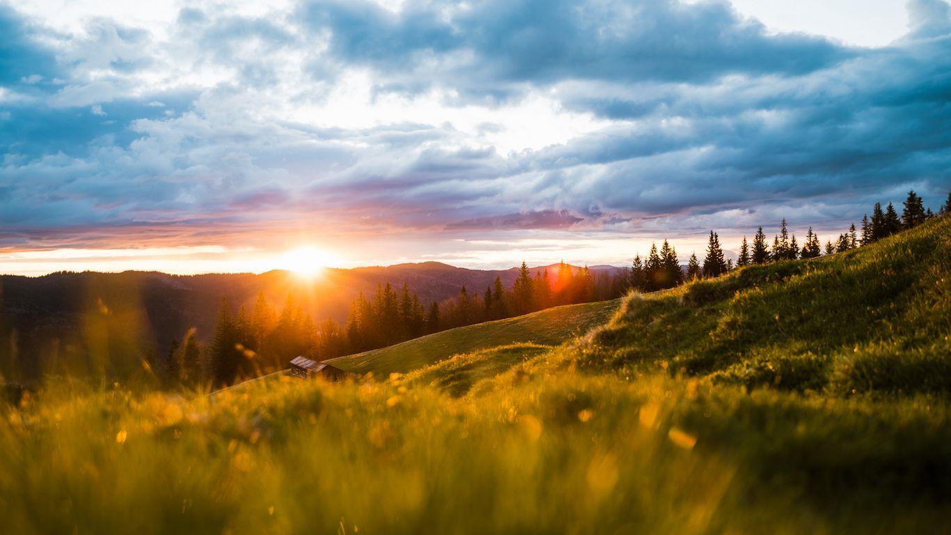1366x768 Download wallpaper 1366x768 landscape, mountains, sun, meadow, trees, sunrise, sunlight tablet, laptop HD background
