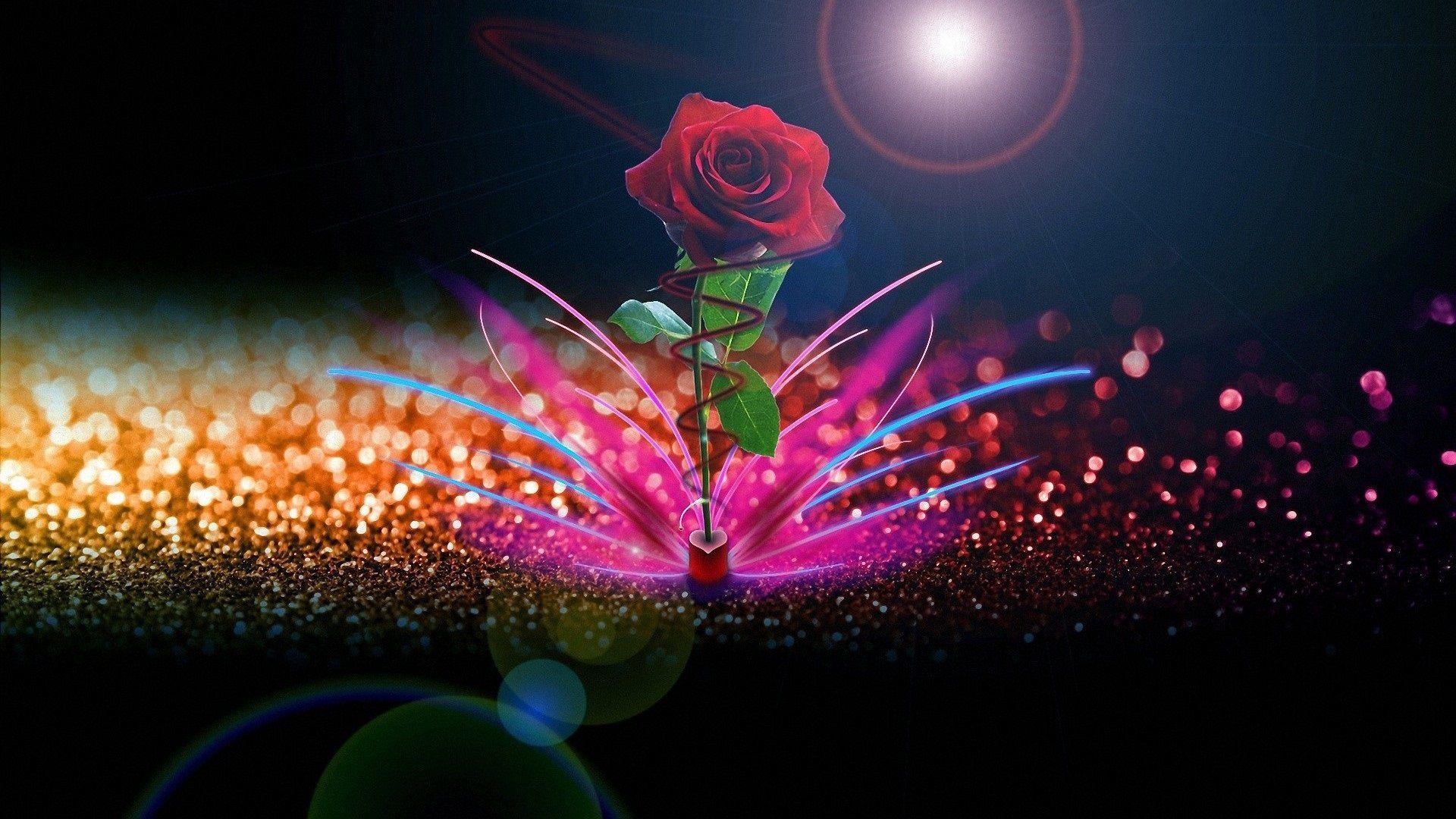 Glow Rose Wallpapers Top Free Glow Rose Backgrounds WallpaperAccess