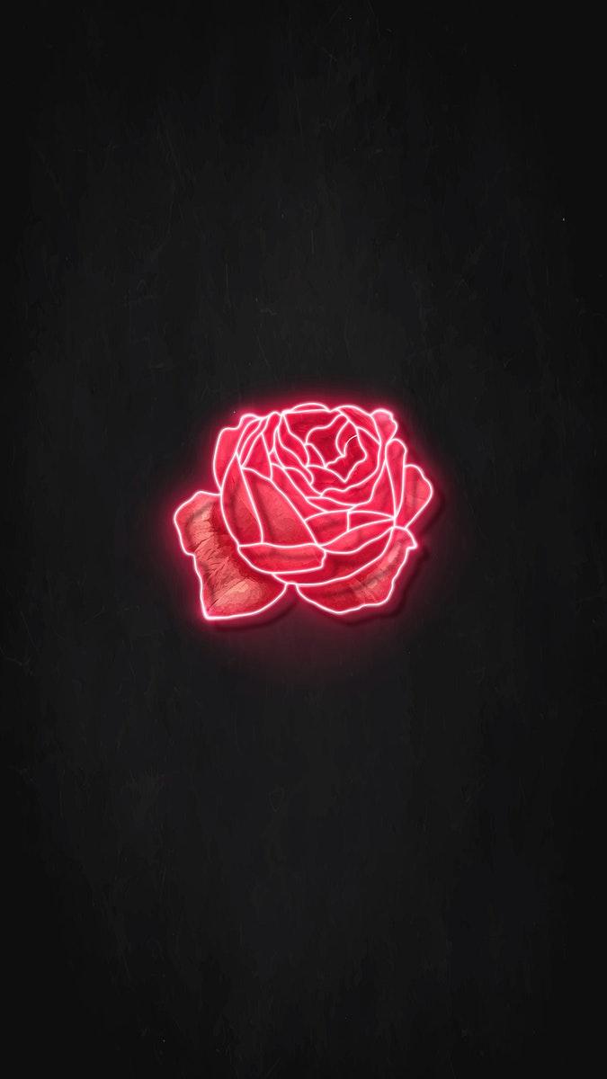 Glow Rose Wallpapers - Top Free Glow Rose Backgrounds - WallpaperAccess