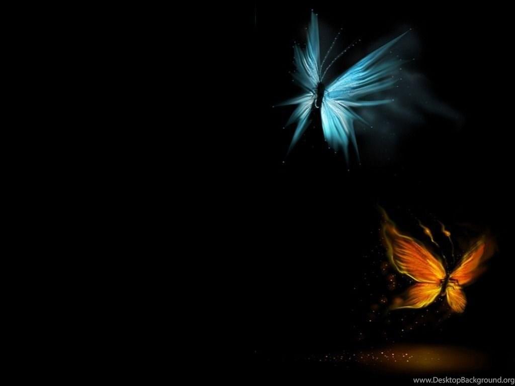 1024x768 Top Black Butterfly Wallpaper Image For Pinterest Desktop Background