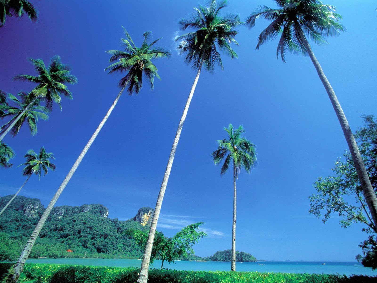 1600x1200 Beautiful Places