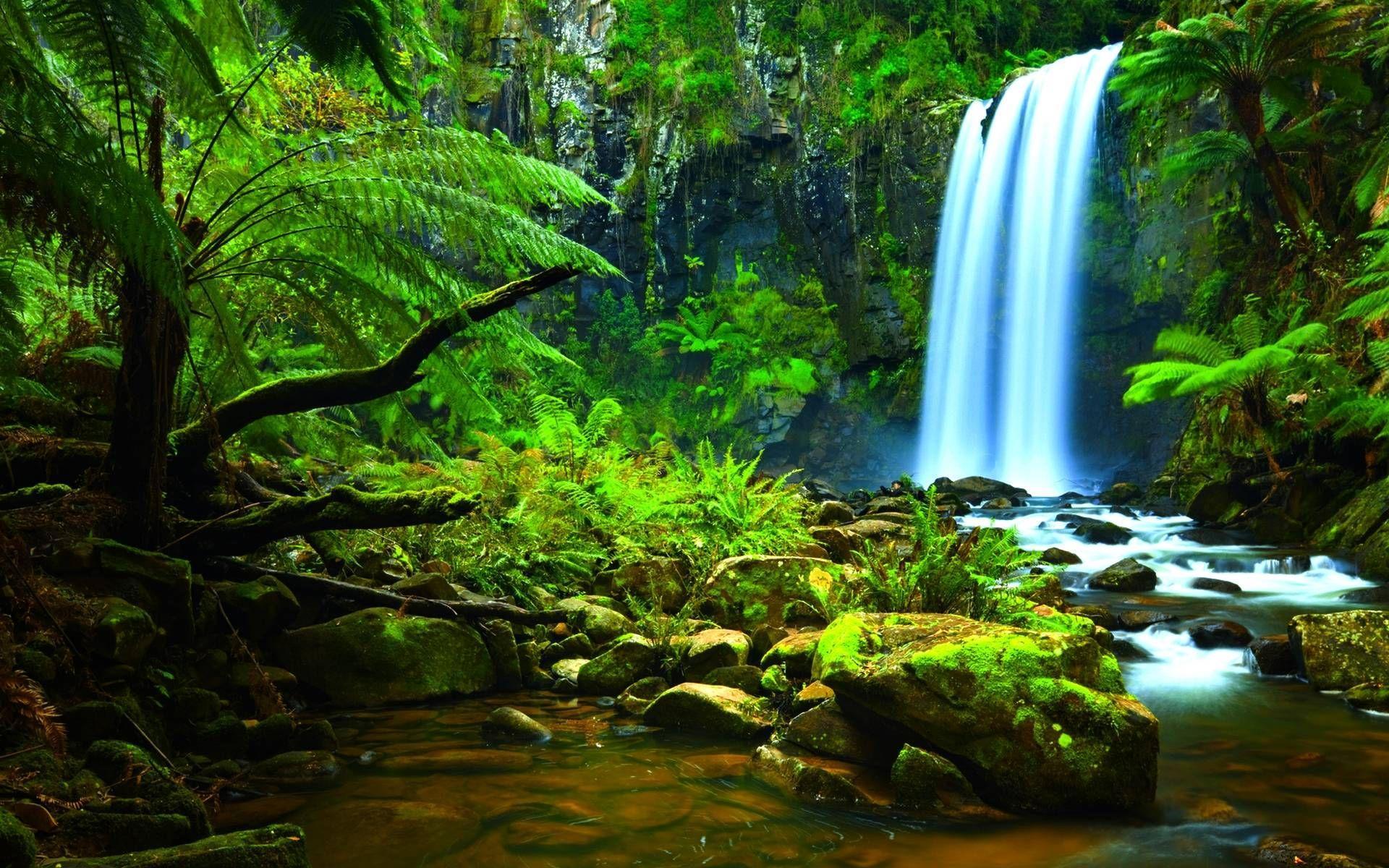 1920x1200 Waterfall Rainforest Wallpaper